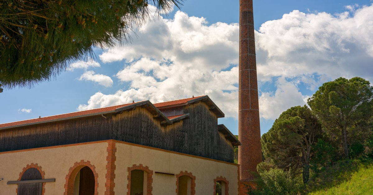 Banyuls, boats and cellars