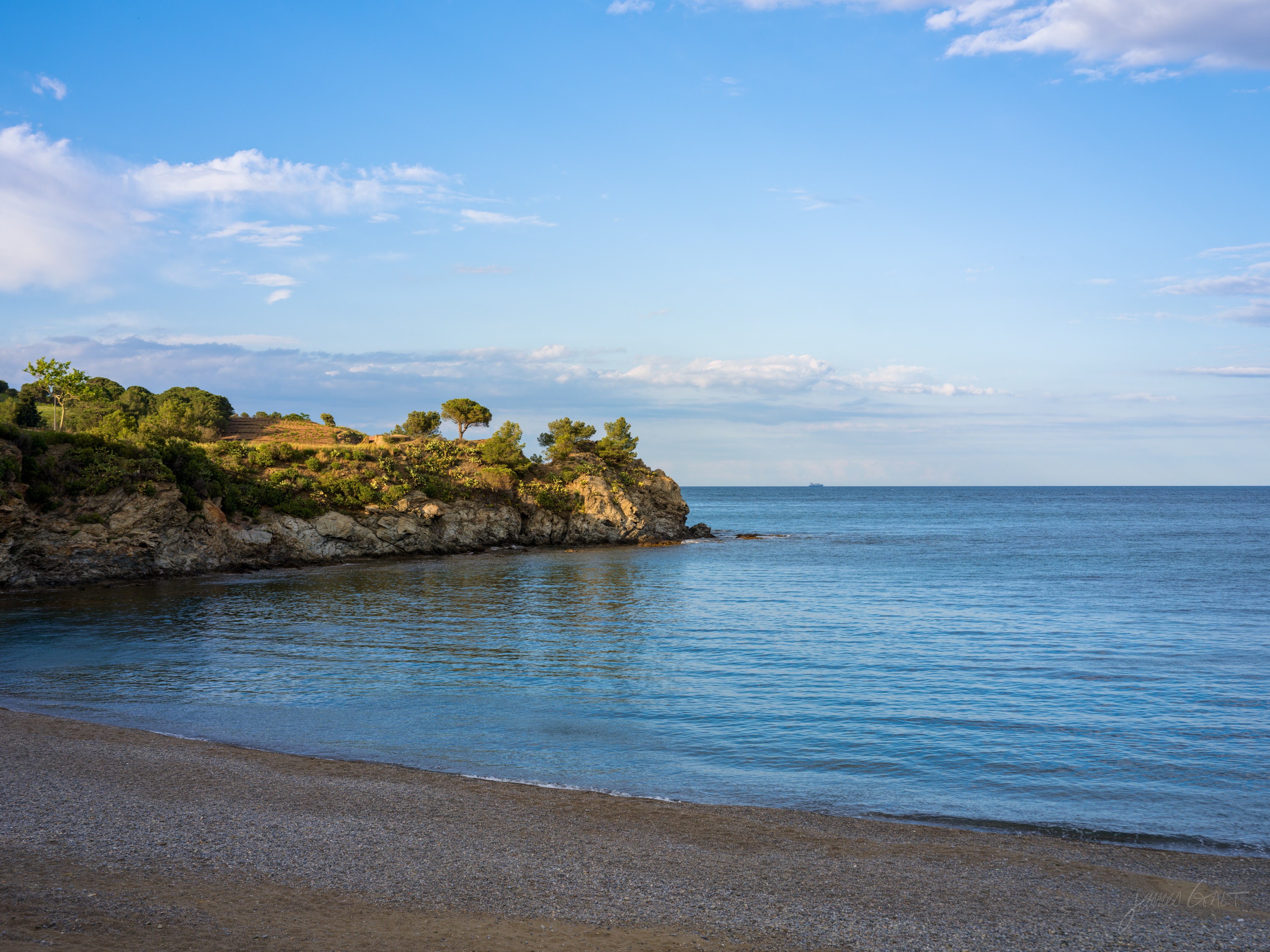 A calm cove at evening, a low headland of umbrella pines and pale rock, dark sand in the foreground and a blue sea under a soft sky.