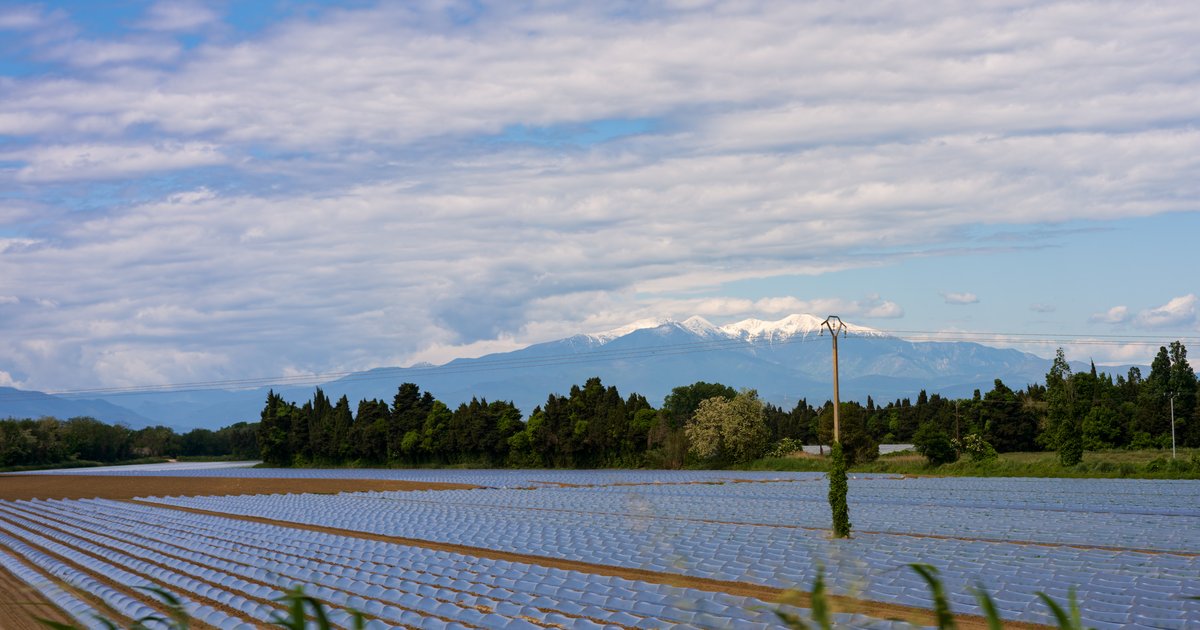 Le Canigou