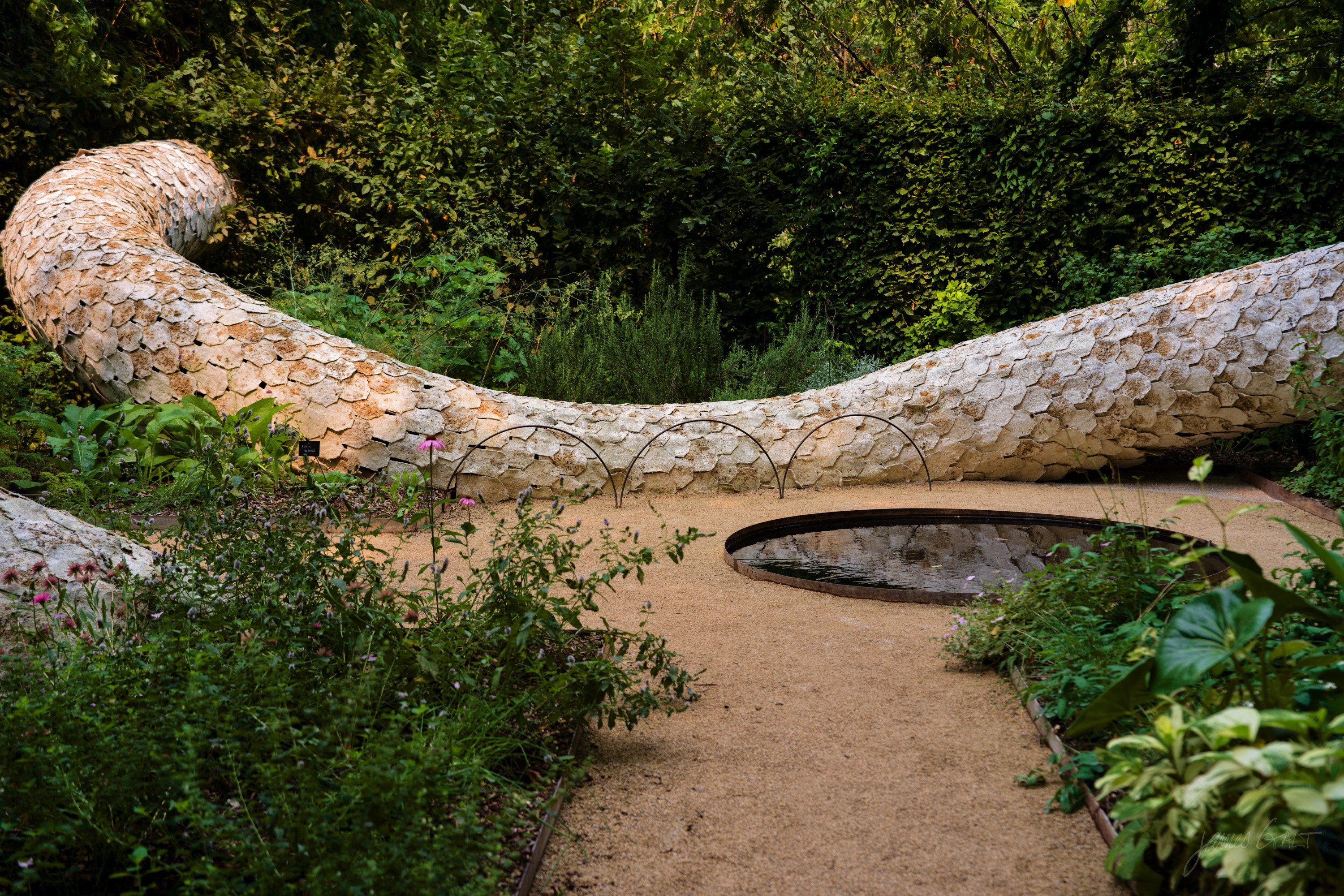 A long undulating sculpture clad in overlapping pale shingles, like scales, curving along a gravel path beside a dark circular pool.