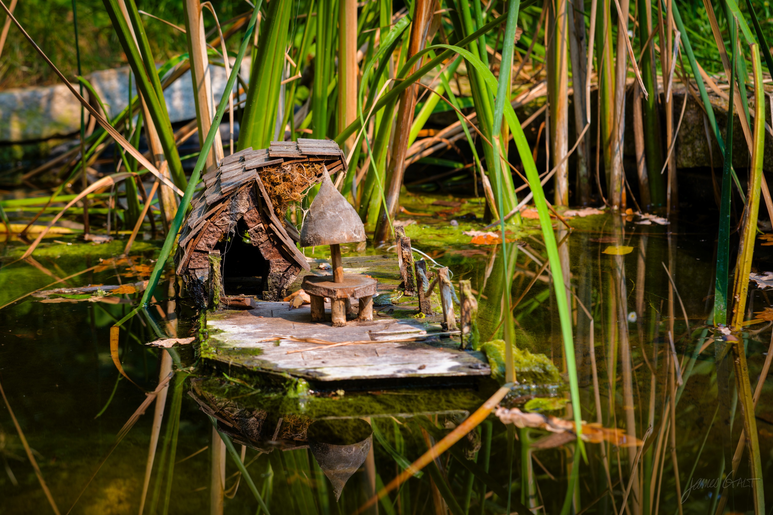 A tiny driftwood house with a curved roof perched on a small raft among pond reeds, reflected in the water.