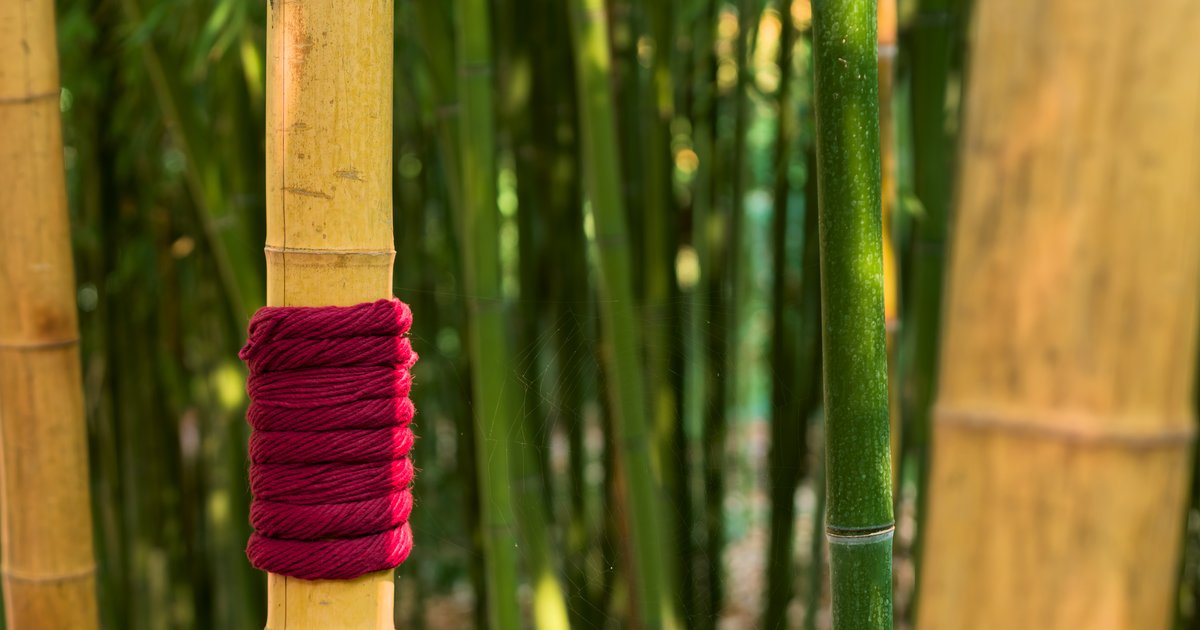 Woven and wrapped