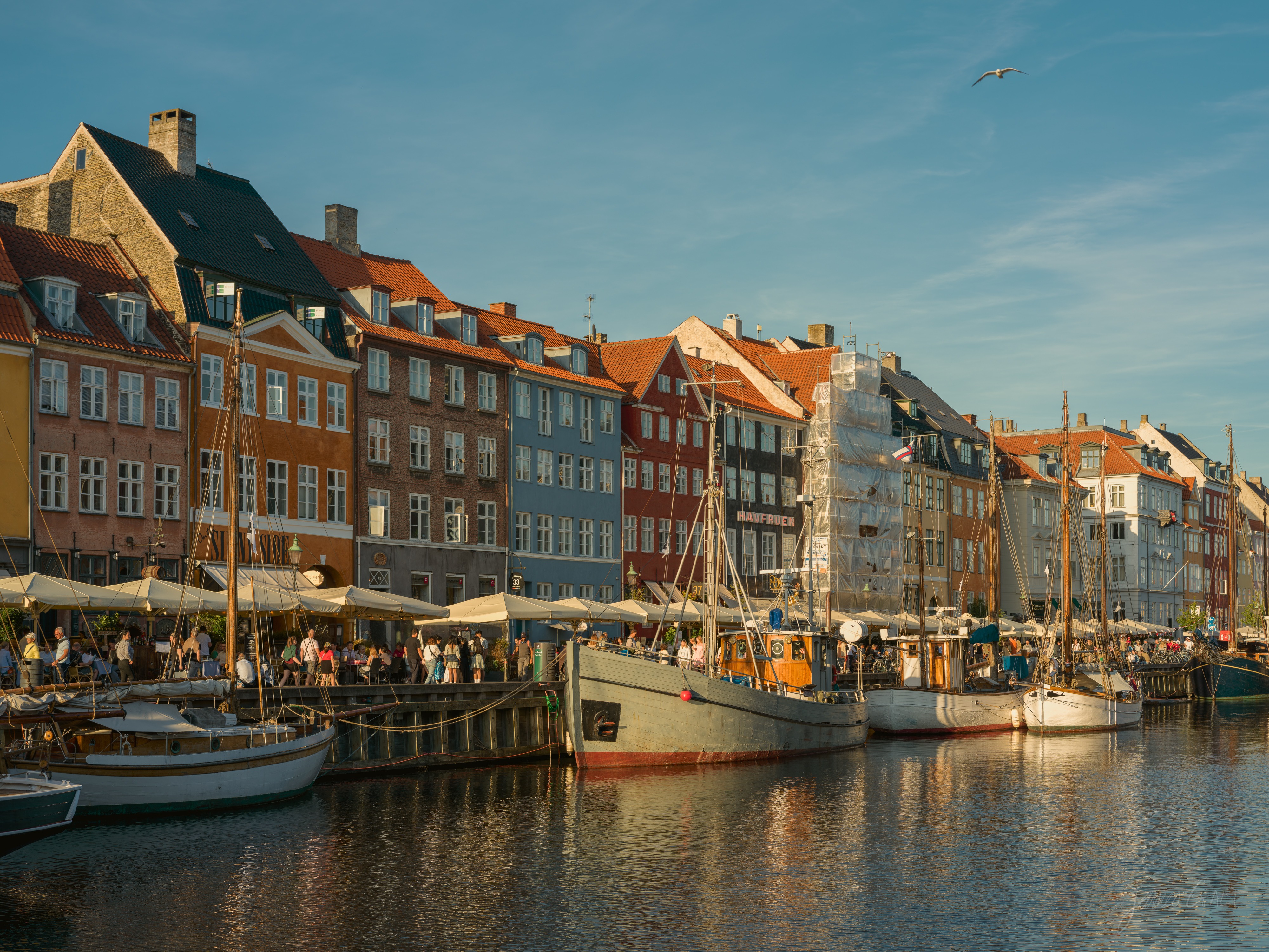 The colorful townhouse fronts of Nyhavn along the canal in golden evening light, wooden sailing boats moored in the foreground, restaurant awnings and crowds at the water's edge, and a gull crossing the blue sky.
