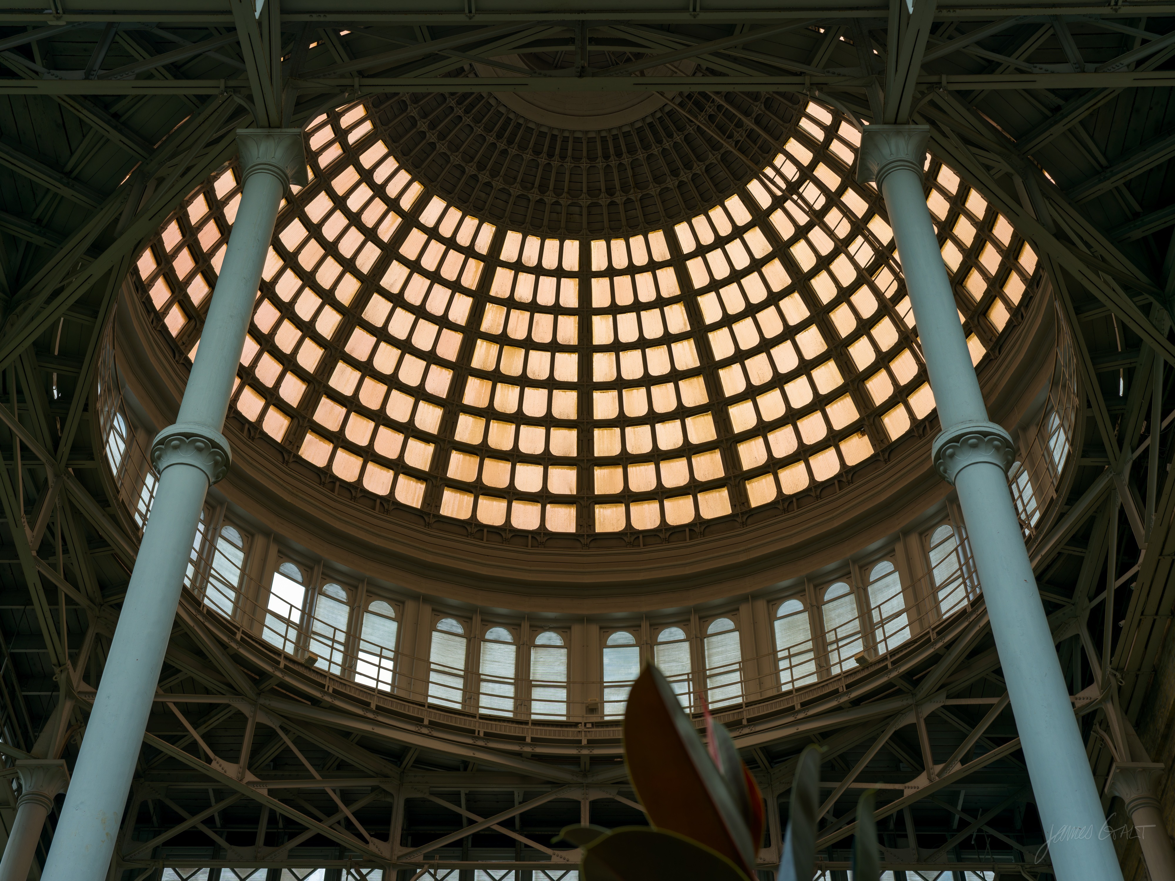Looking straight up into the glass-and-iron dome of the Glyptotek Winter Garden in Copenhagen, glowing warm with daylight, two pale classical columns rising on either side and a large leaf entering the lower edge of the frame.