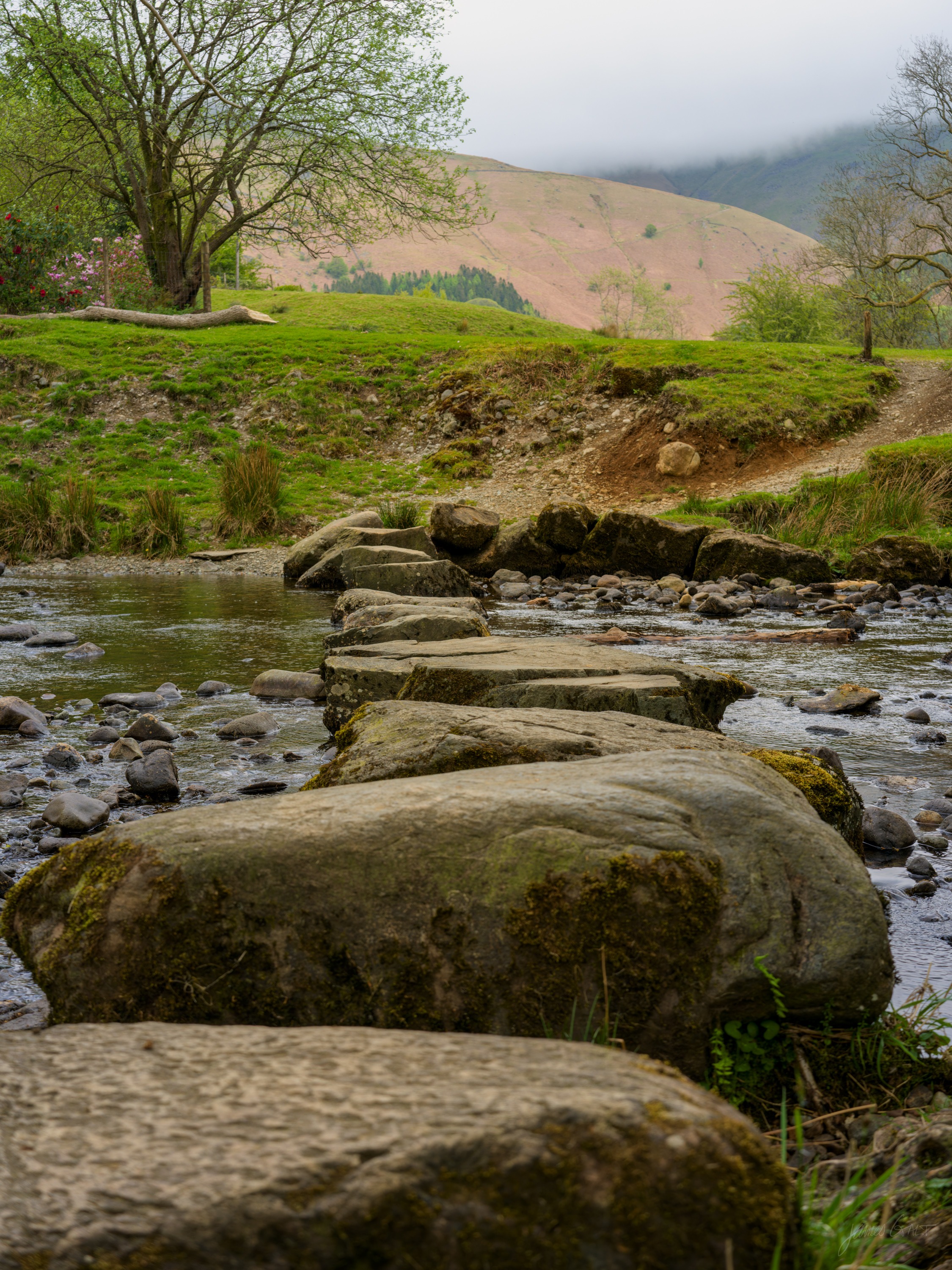 Large flat stepping stones crossing a shallow stony beck, a low green bank and a broad fell rising into cloud beyond, seen from a low viewpoint close to the water.