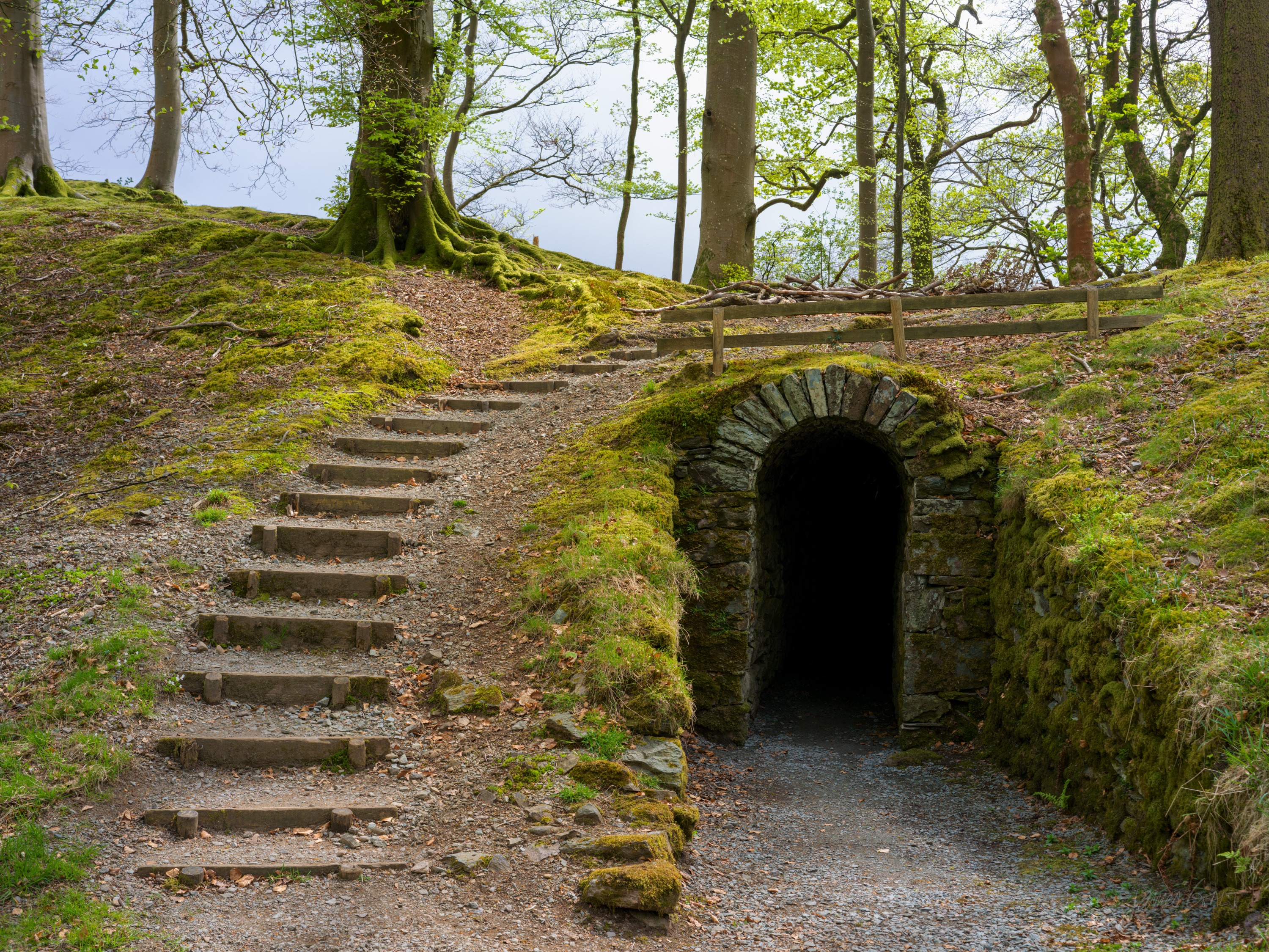 A stone archway of an ice house set into a mossy bank in woodland, worn stone steps climbing beside it, fresh green leaves overhead.
