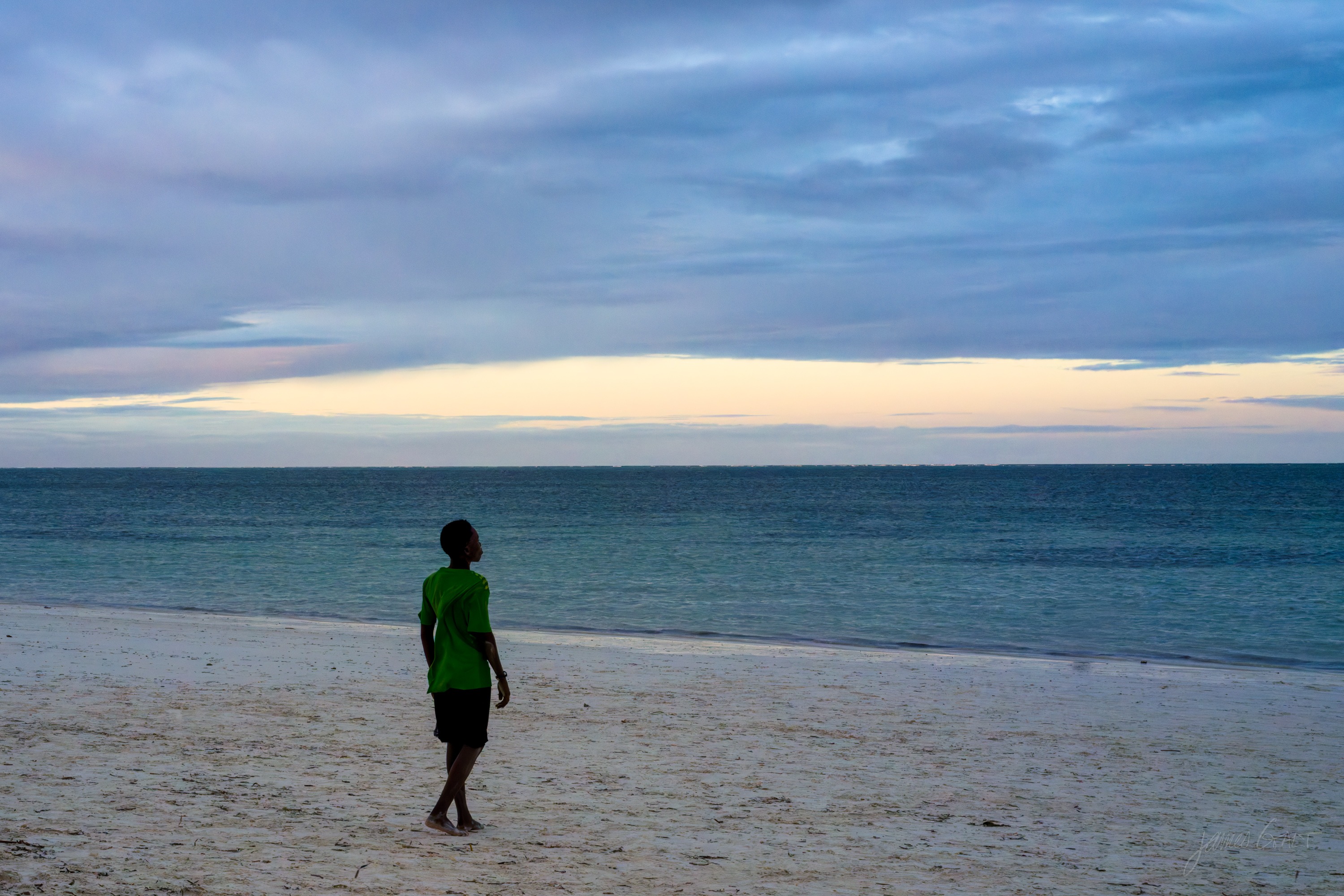 A single figure in green walking on the flat wet sand at dusk, reflected in the shallow water, a low horizon behind.