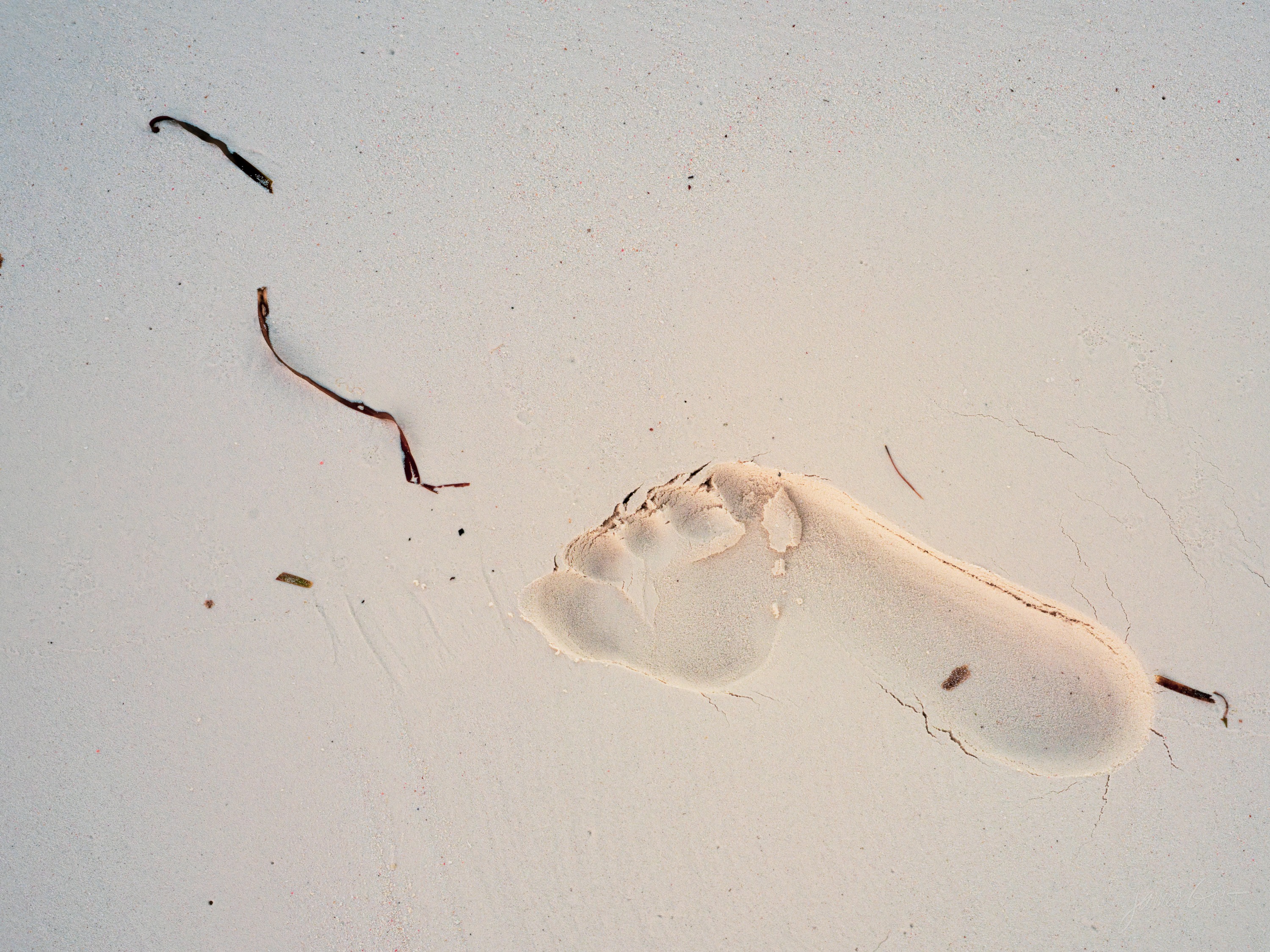 A single footprint pressed into flat wet sand, slowly filling with water, the smooth beach and a soft sky reflected around it.
