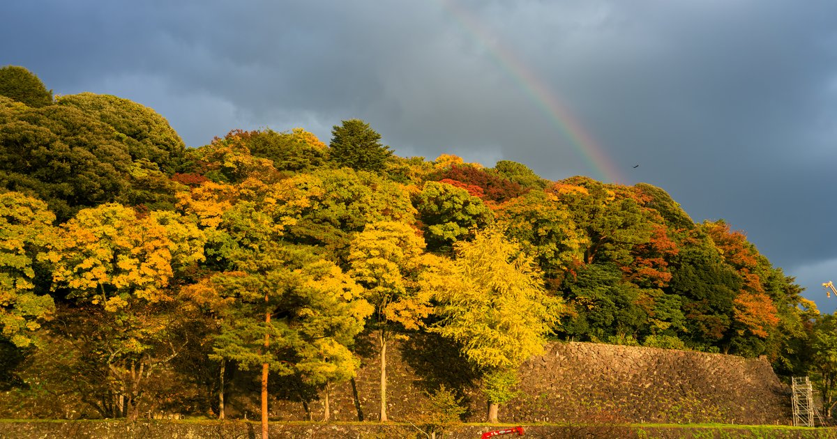 Kenrokuen, late autumn