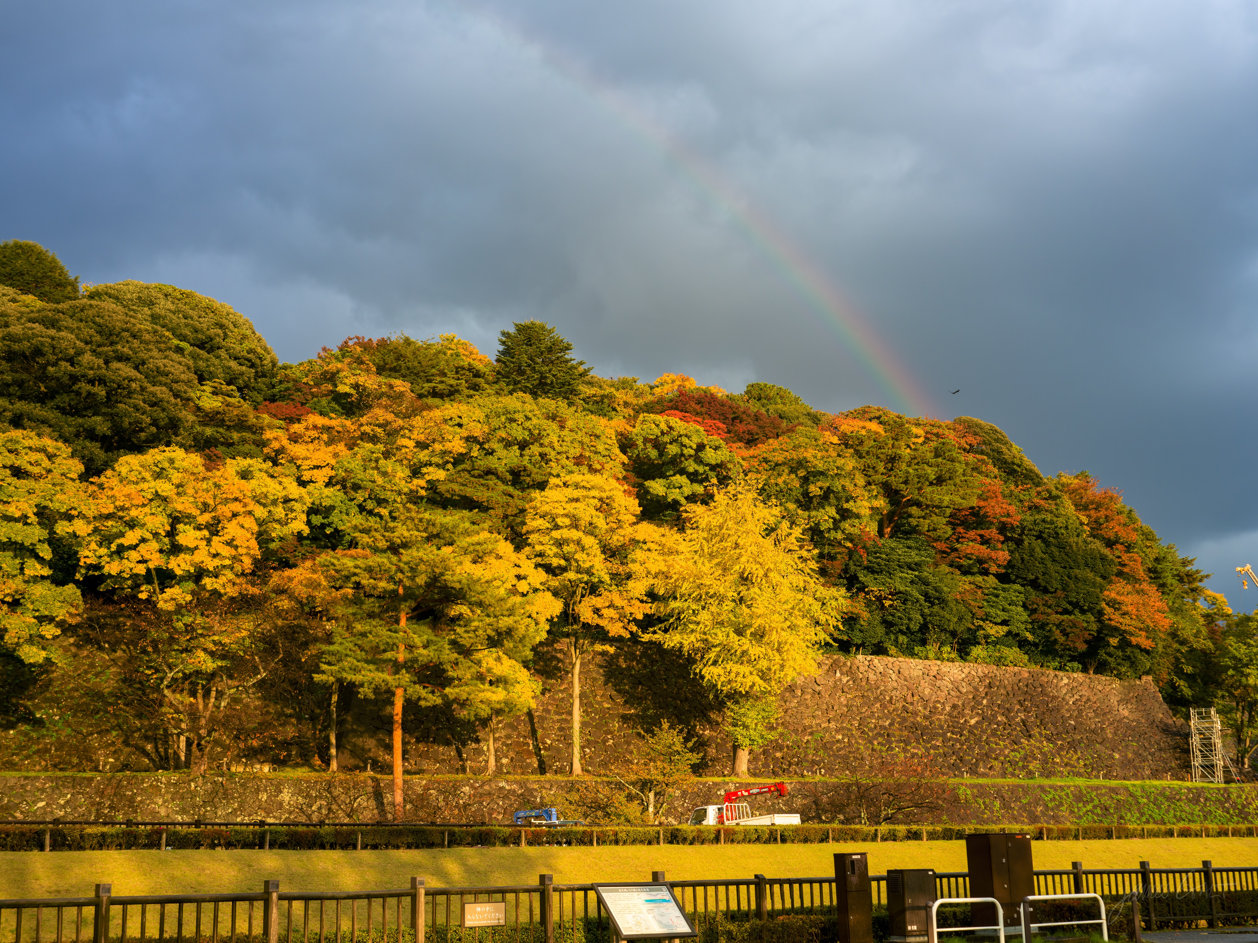 A rainbow arcing into a dark grey sky above a hillside of trees in full autumn colour, gold and orange lit by low sun, with a sloping stone castle rampart at the right and a hedge and fence along the bottom.