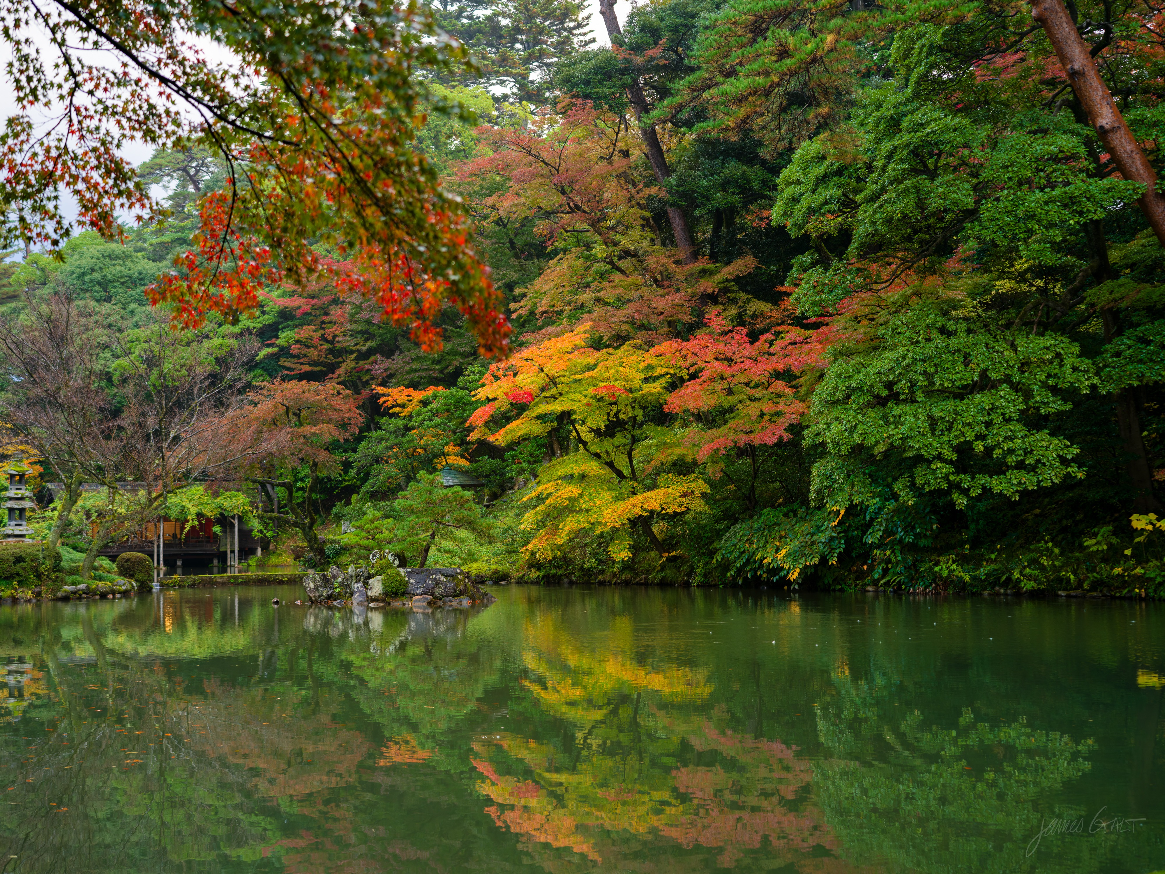 A calm garden pond reflecting a bank of trees in mixed autumn colour, red and orange maples among green, a small stone lantern at the left edge, leaves and branches mirrored in the still green water.