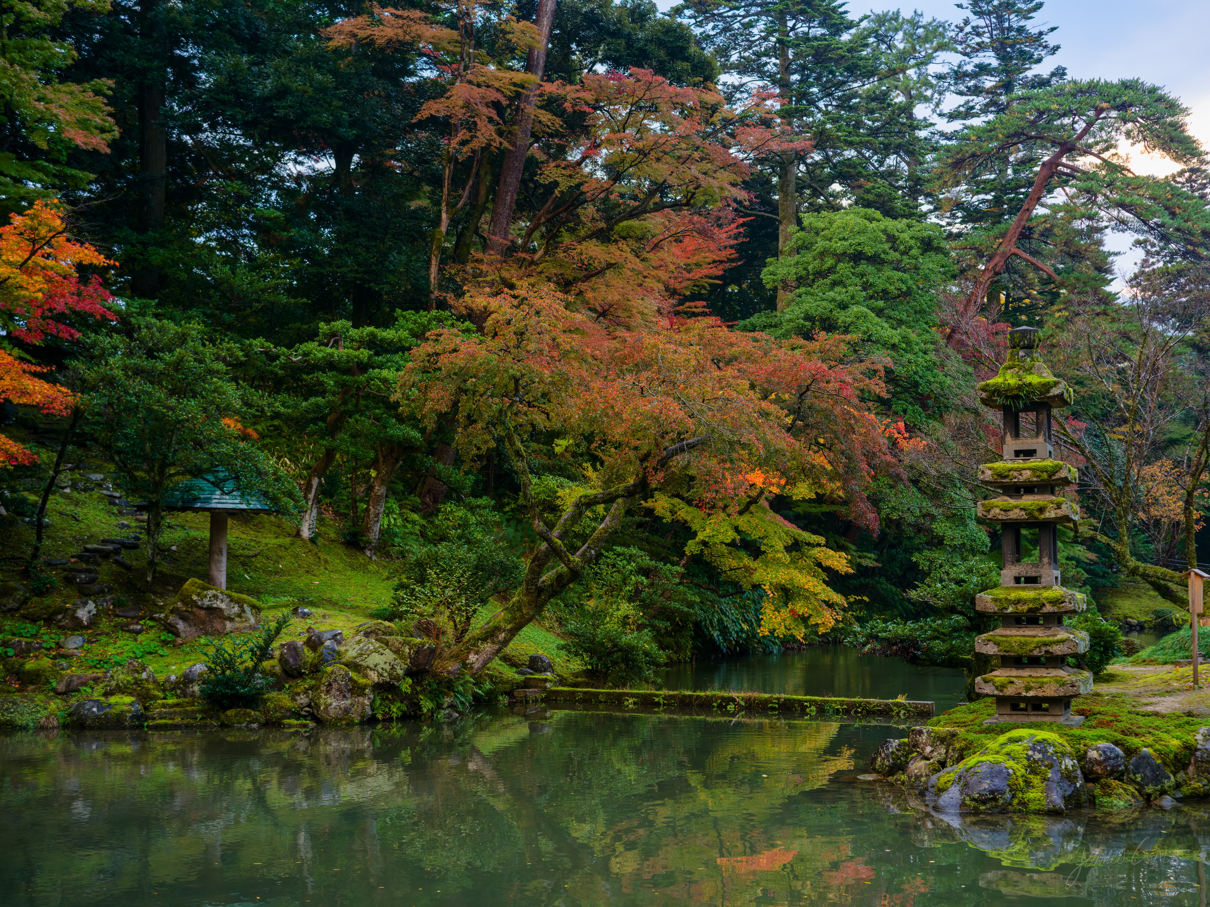A garden pond with a tall, weathered multi-tiered stone pagoda on the right bank among pines and autumn maples, a stone lantern and mossy bank on the left, all reflected in the still water.