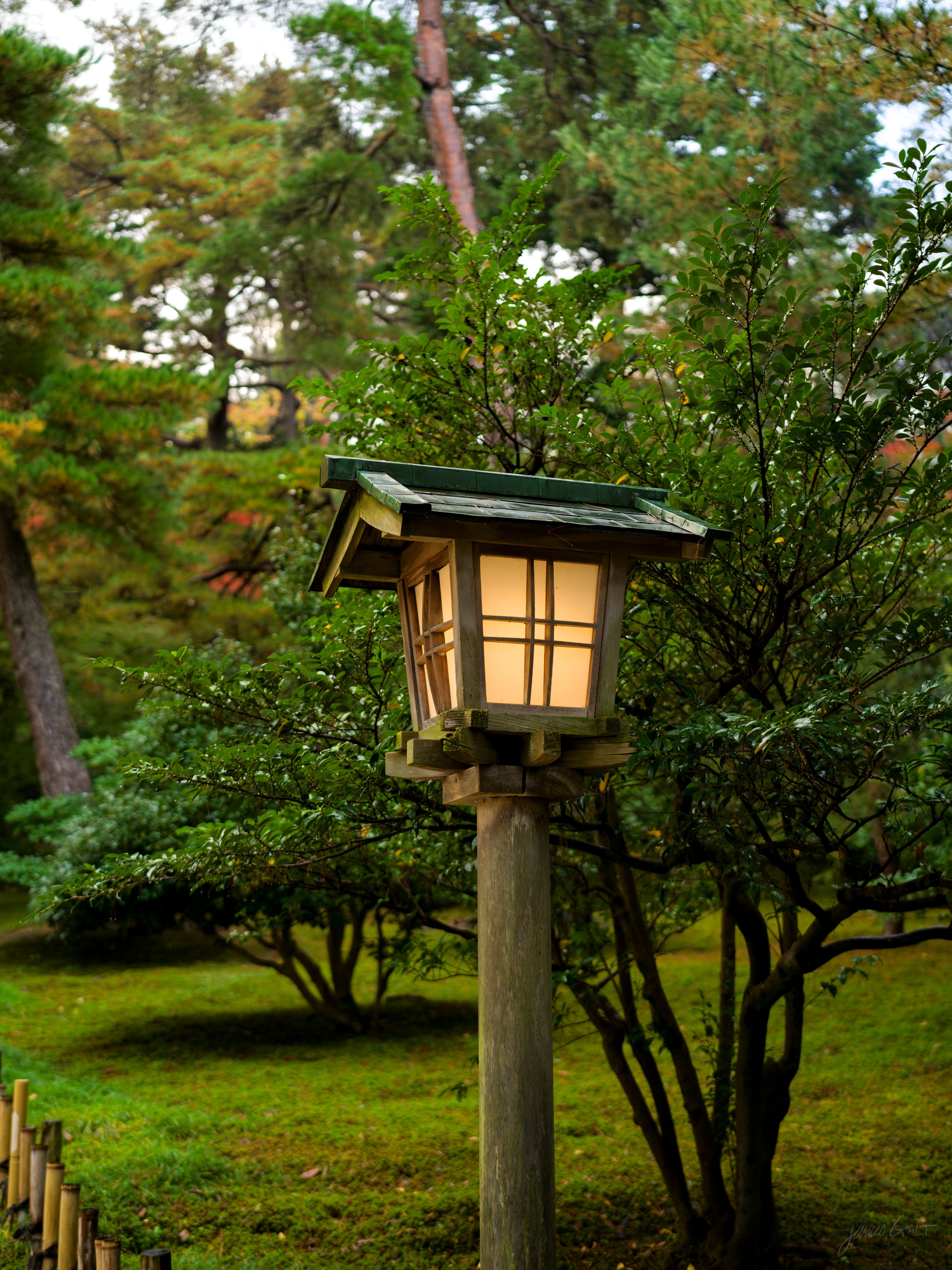 A wooden garden lantern with a green roof and a warm light glowing inside its paper panels, standing on a post among clipped shrubs, pines and a maple in a garden at dusk.