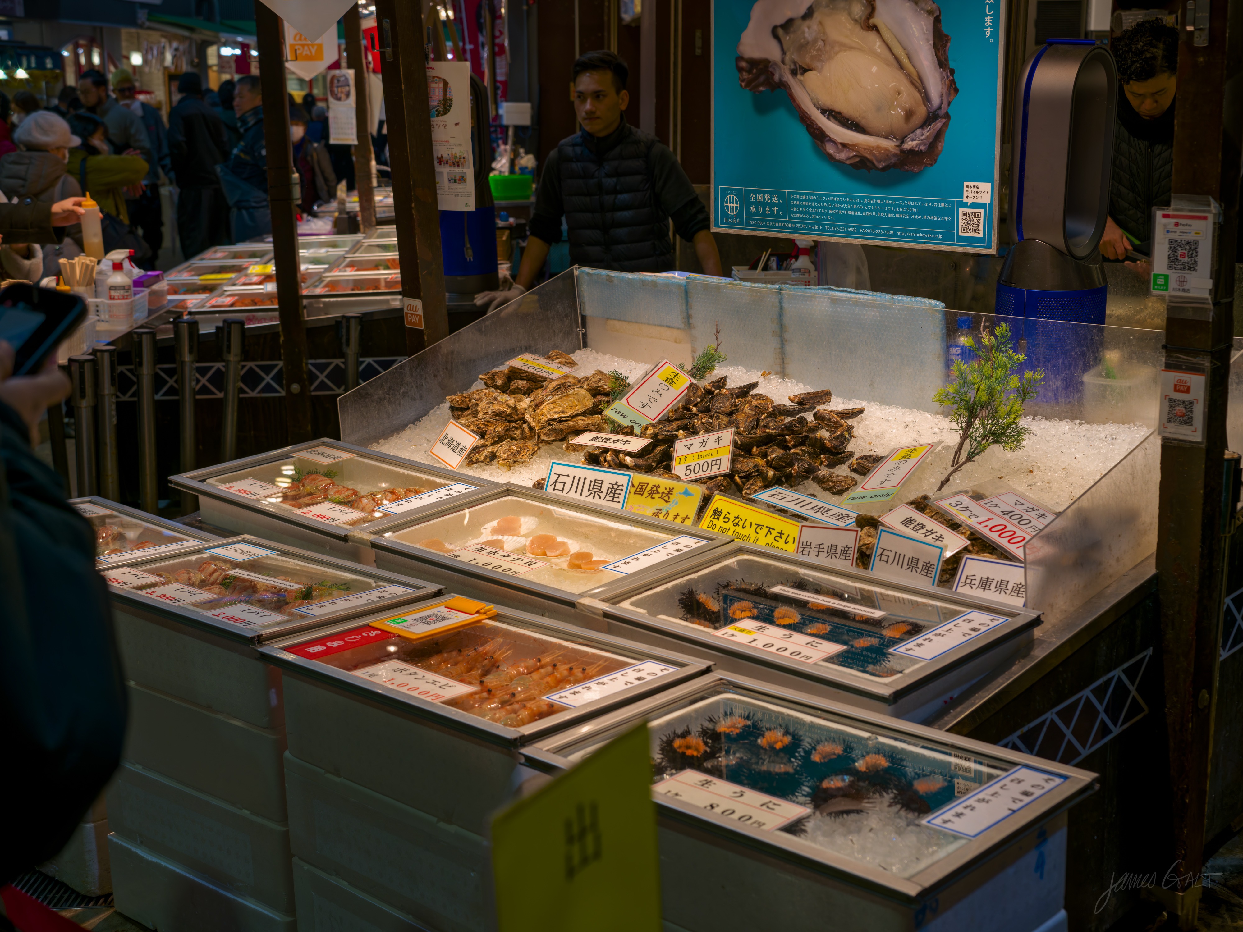 A seafood stall at a covered market, a bed of crushed ice mounded with oysters labelled as Ishikawa-grown, surrounded by trays of packaged fish, scallops and crab with handwritten price cards. A vendor stands behind and a customer photographs from the left, an oyster poster above.