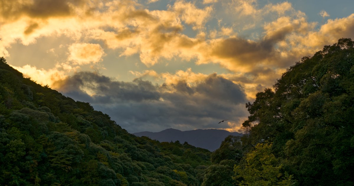 Dusk over Kyoto