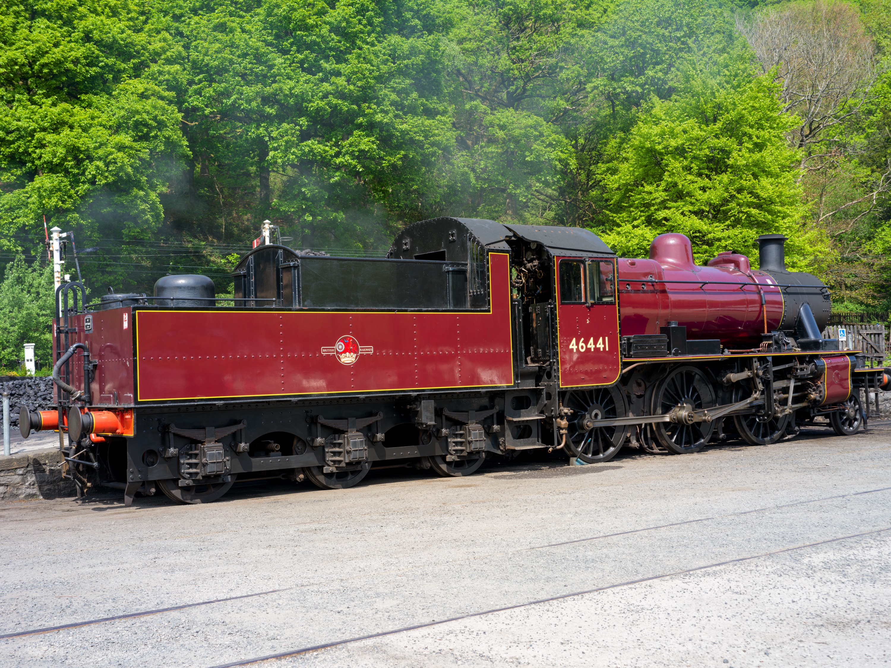 A maroon steam locomotive numbered 46441 in side profile on the tracks, dense green trees behind, a wisp of steam at the dome.