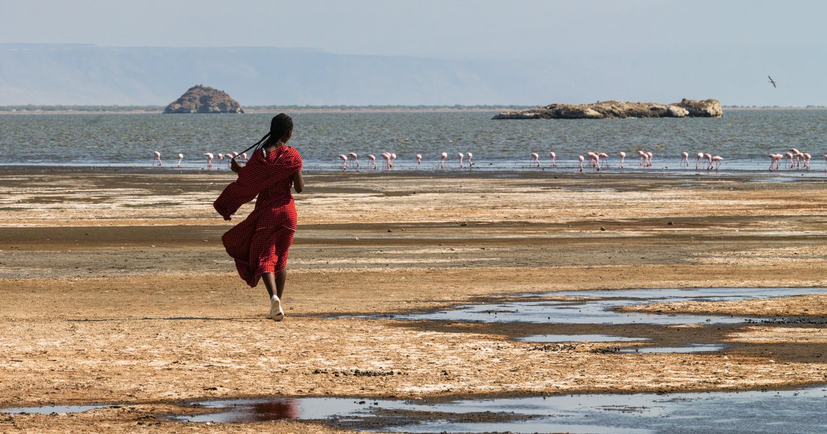 Flamingos, Lake Natron