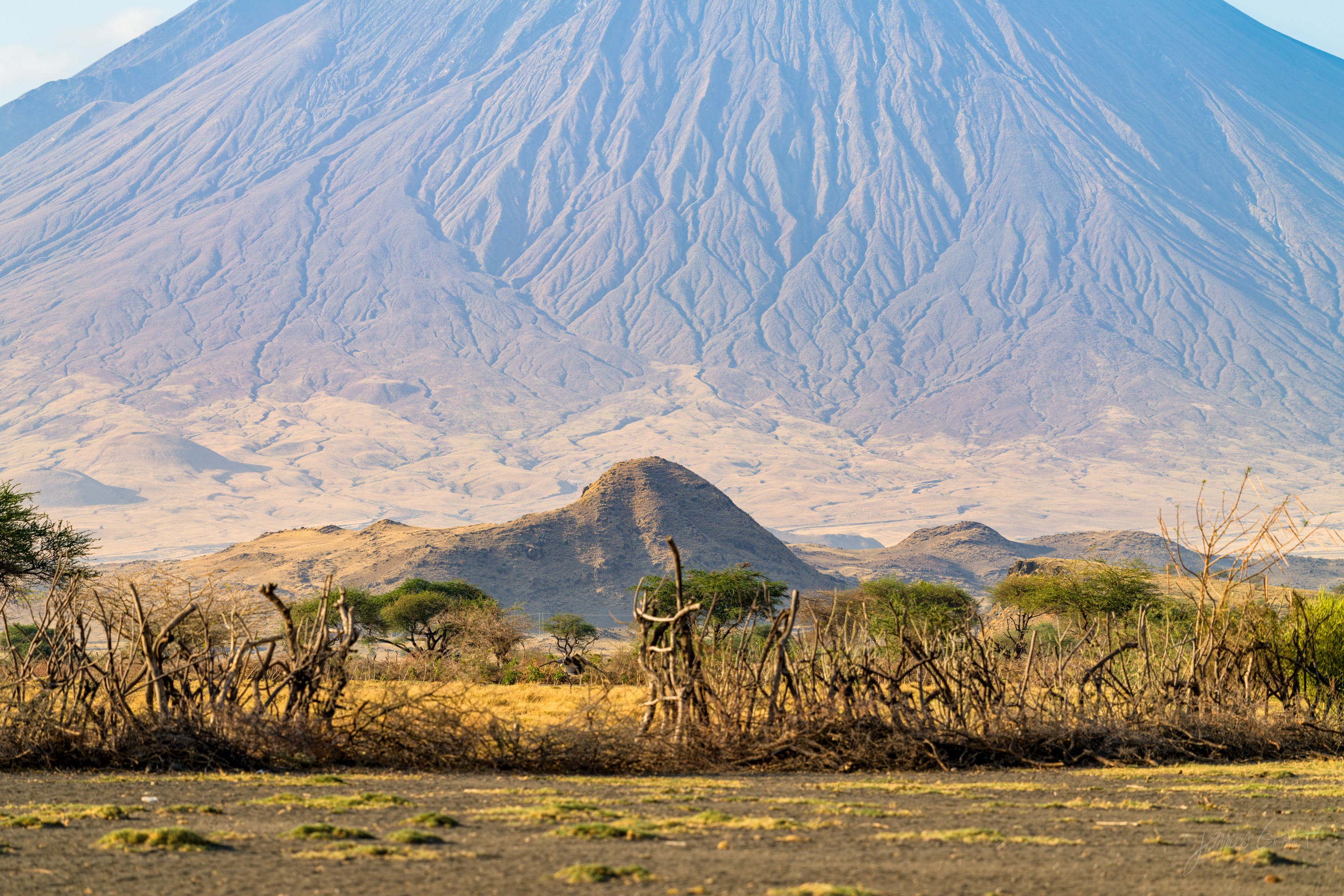 A grey volcanic cone catching early light above a wide dry plain, small trees dotted across the foreground under a pale sky.