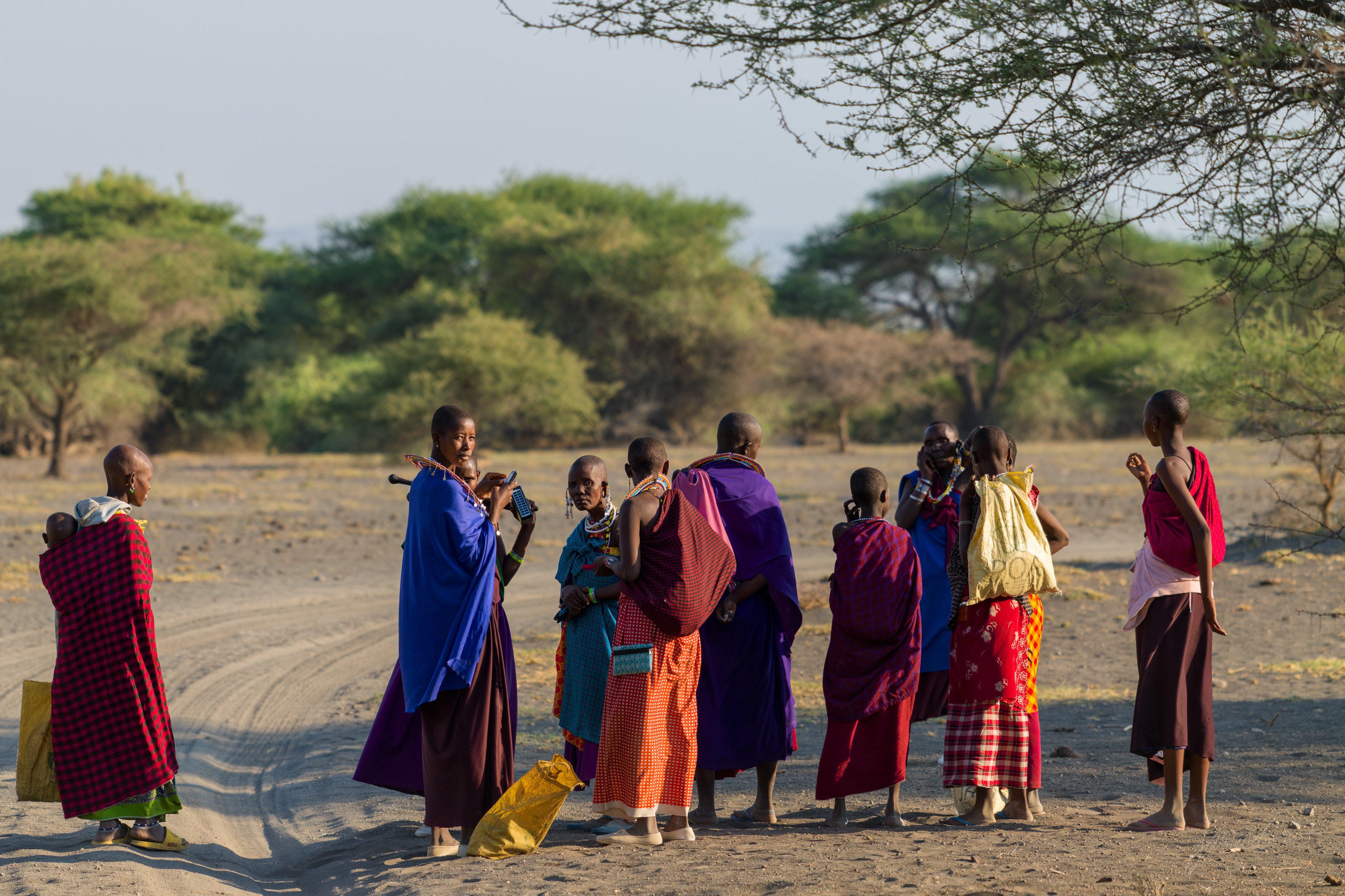 A group of Maasai in red and dark robes gathered together on open ground, some standing and talking, low trees and a pale sky behind them.