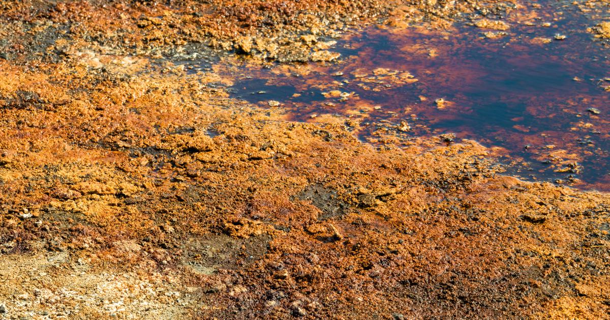 The ground at Lake Natron