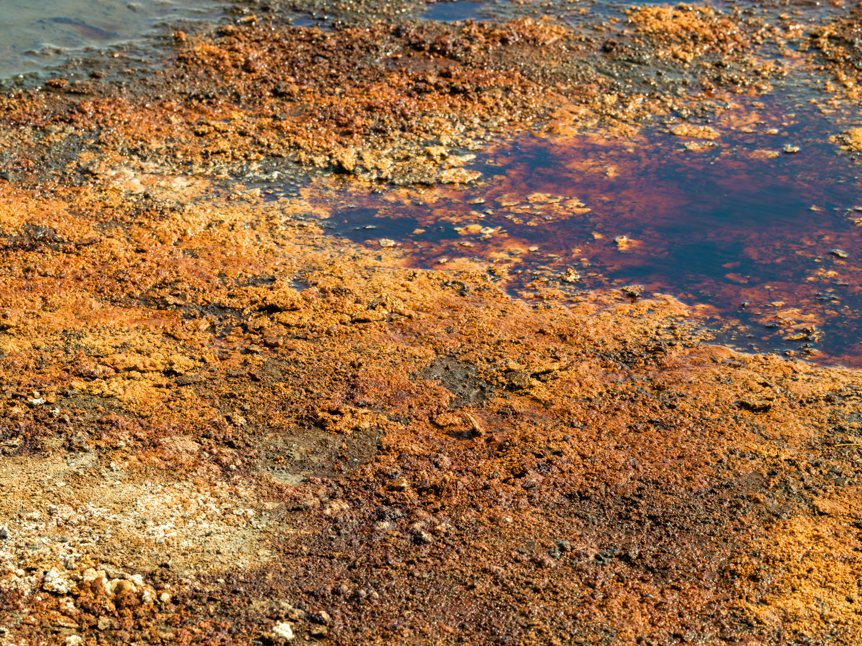 A close, abstract view of the lake bed: rust-orange mineral crusts and dark cracks forming a rough pattern across the dried surface.