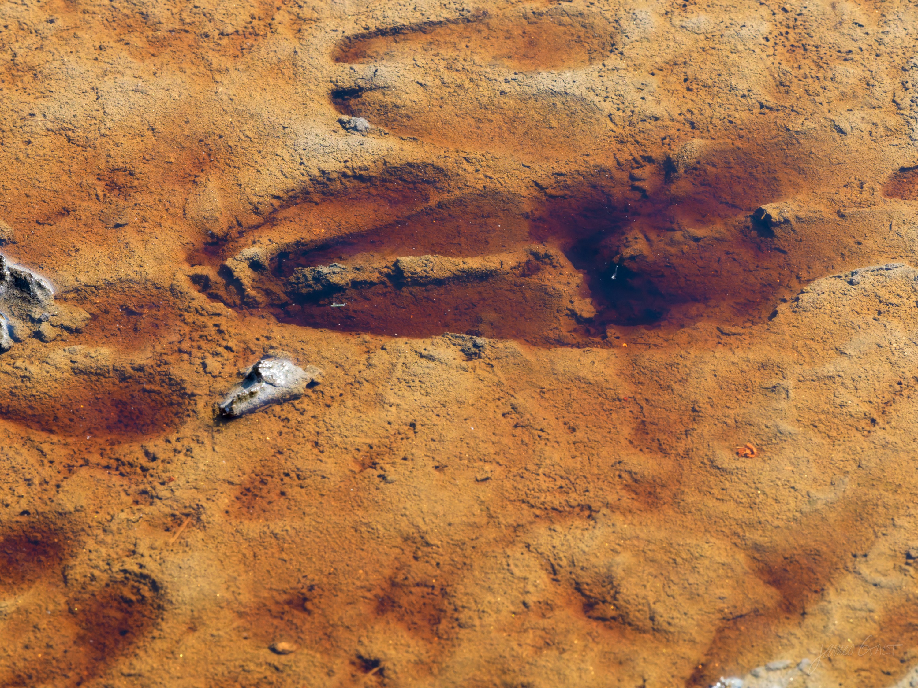 A single footprint pressed deep into wet orange mud, the ridges of the print catching light, small pale stones scattered around it.