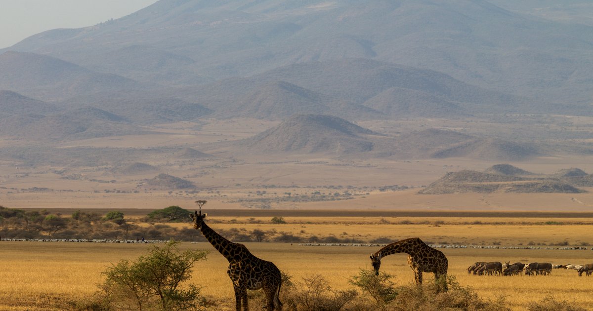 Toward Lake Natron