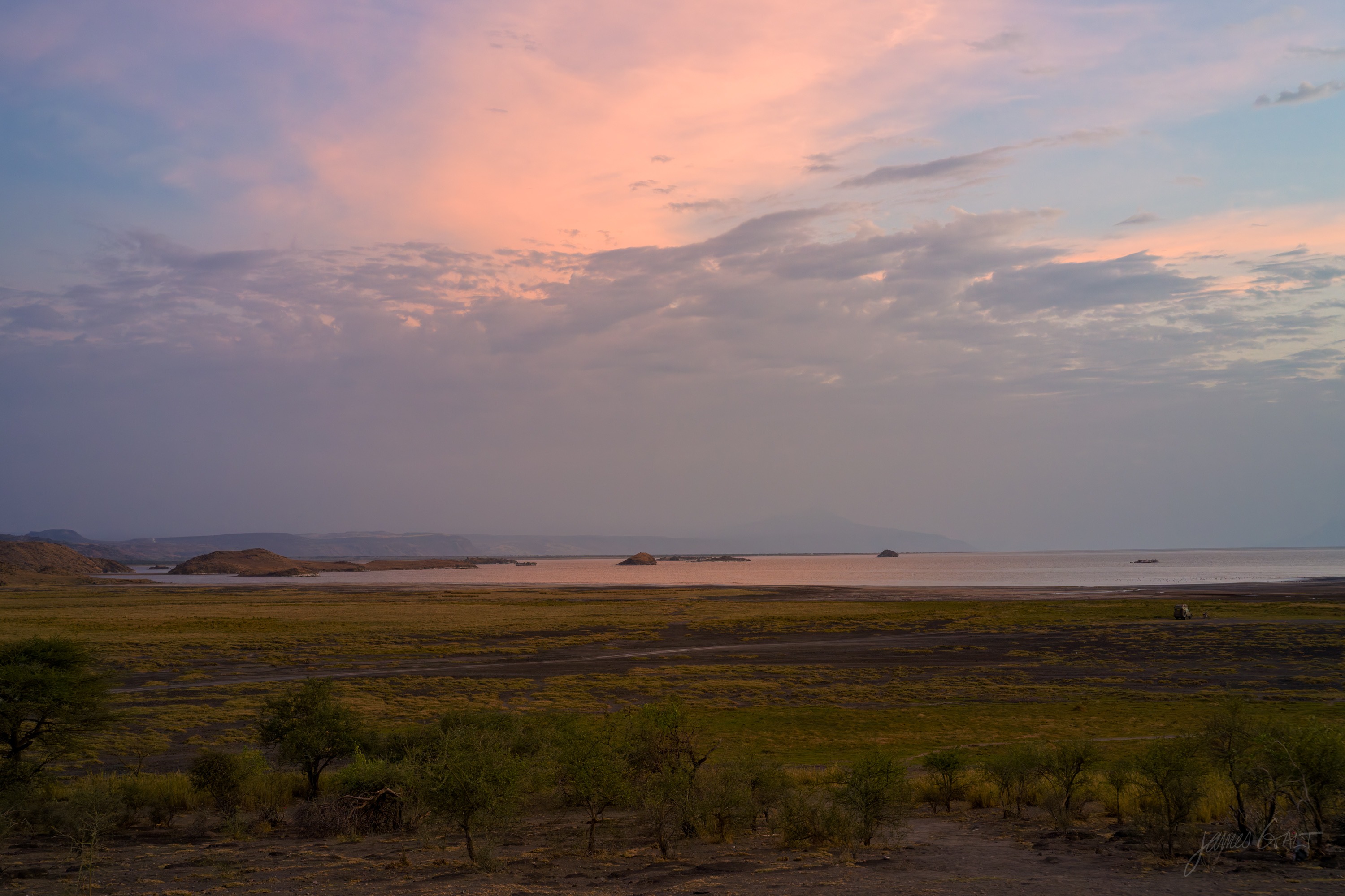 Wide dry savannah at first light, warm colour spreading along the horizon, low scrub in silhouette across the foreground.