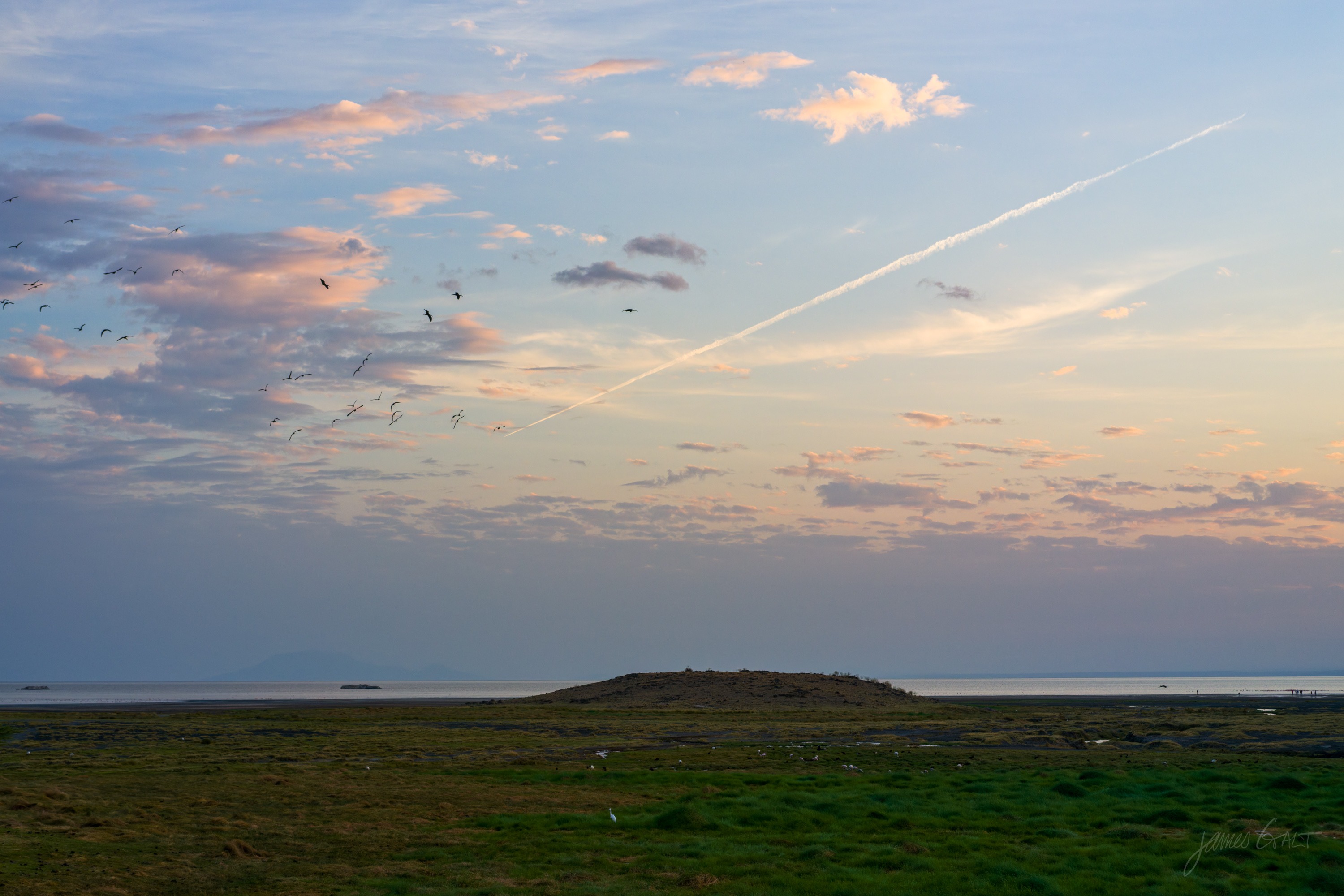 A broad dawn sky in bands of pink and grey over a flat dark plain, a faint line of hills along the horizon.