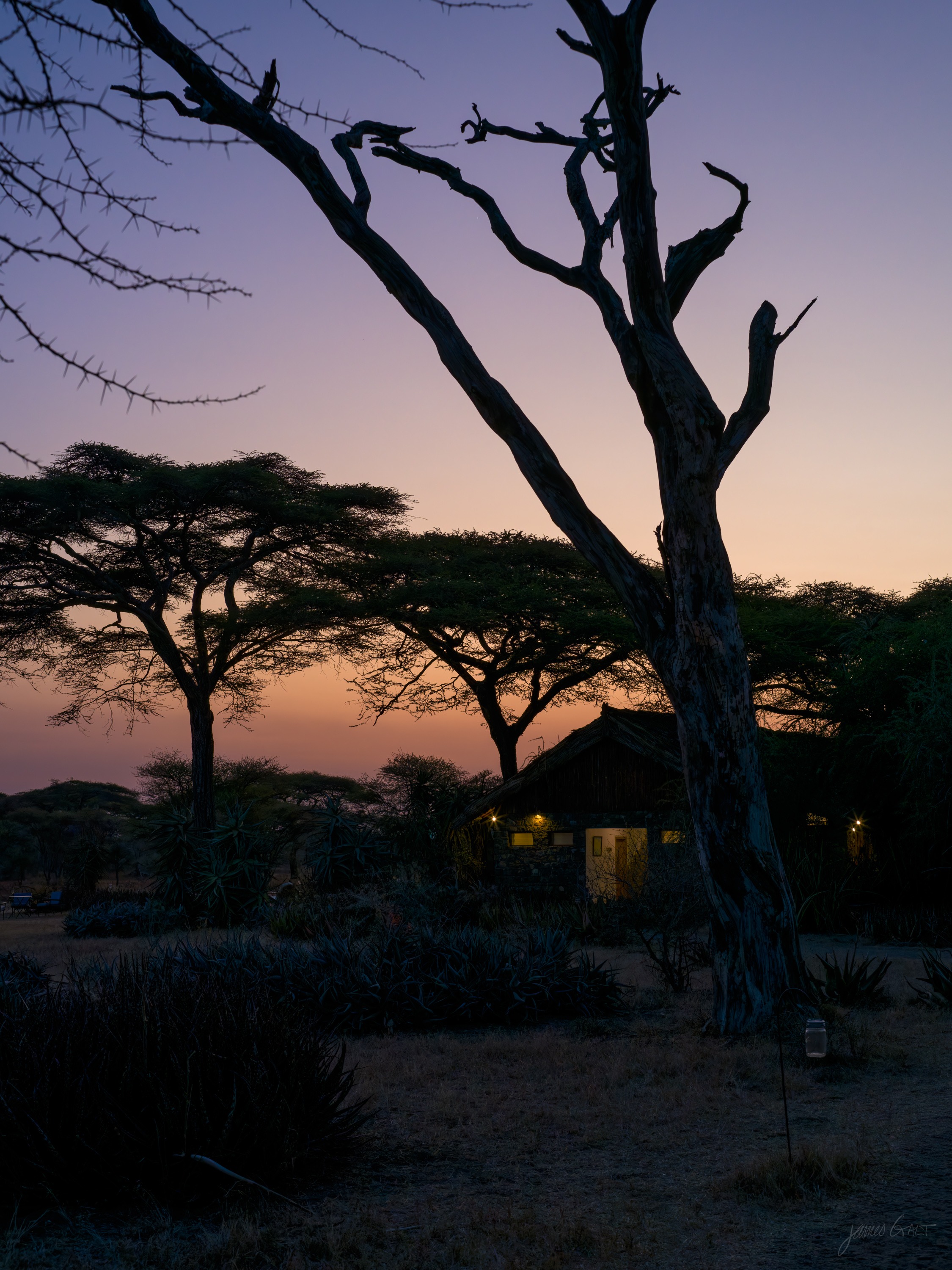 A line of trees in silhouette against a soft dawn sky on the crater rim, the ground below still dark.