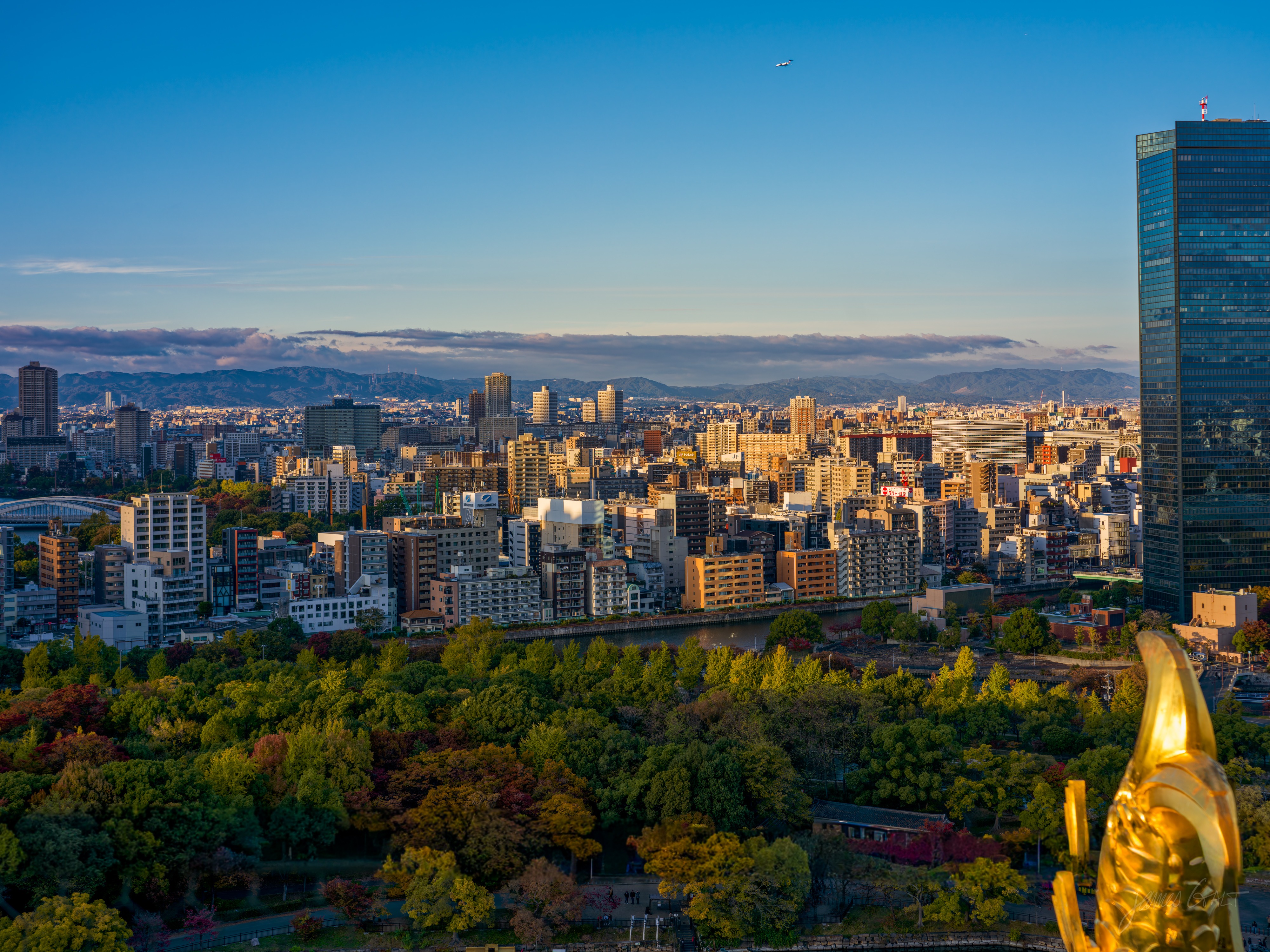 An elevated view over Osaka in golden late light, low buildings sprawling toward distant mountains and a tall dark office tower on the right. In the bottom-right corner sits one of the castle's golden shachihoko roof ornaments, level with the skyline; autumn trees fill the park below.