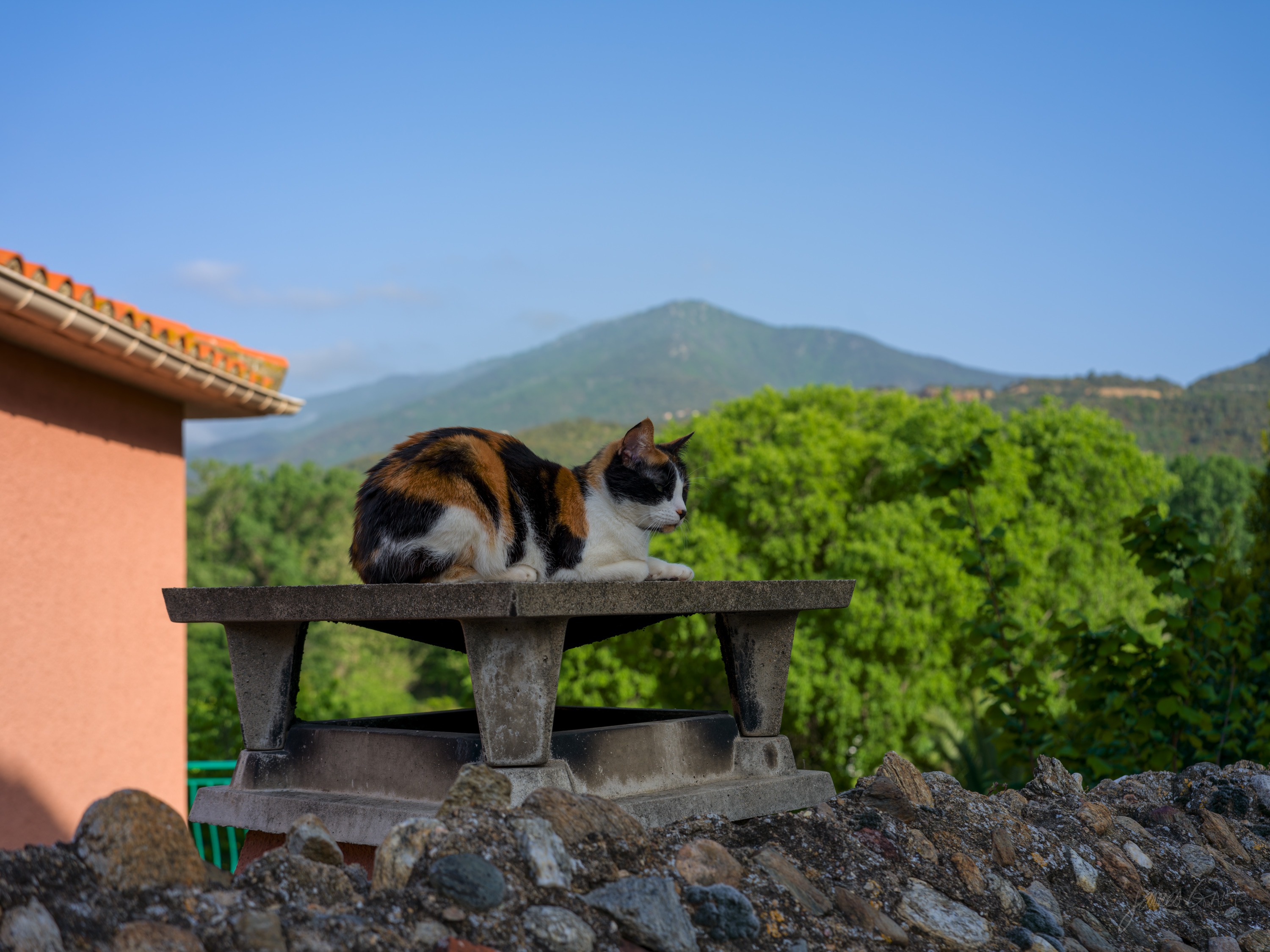 A calico cat curled on top of a stone wall beside a red-tiled roof, wooded Mediterranean hills and clear blue sky behind.