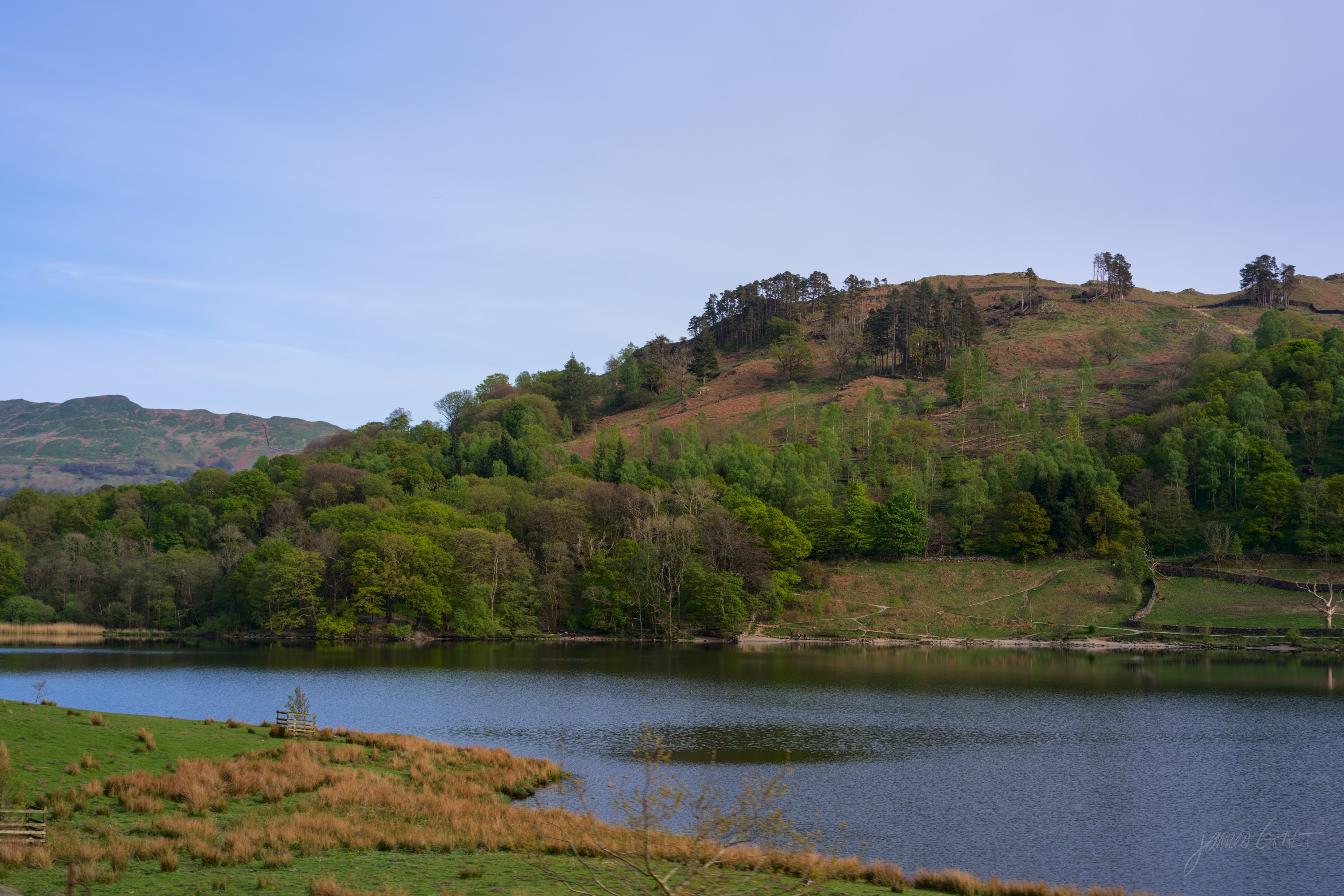 A view across Rydal Water to a bracken-and-rock fellside rising steeply from the far shore, green fields at the waterline, blue sky above.