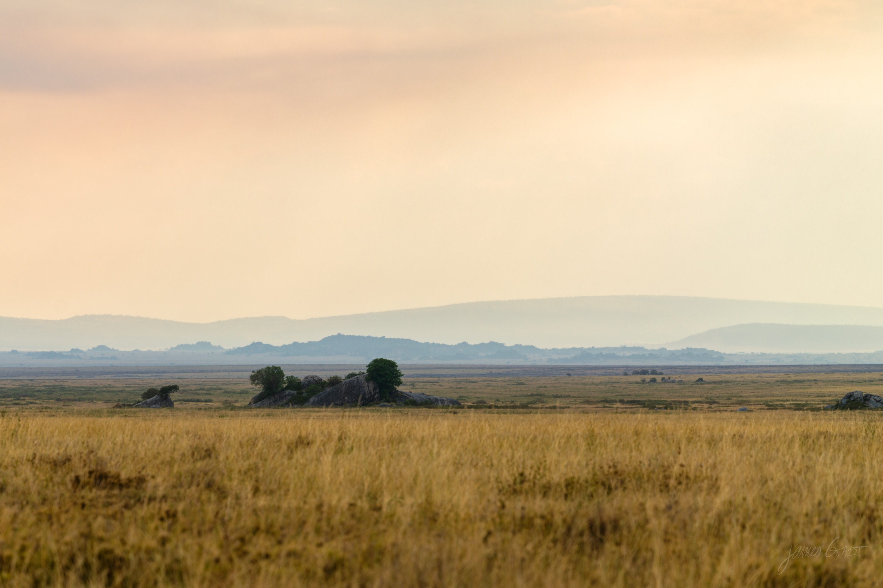 A wide Serengeti sunset, the sky in bands of gold and grey over a flat dark plain, a low sun near the horizon.