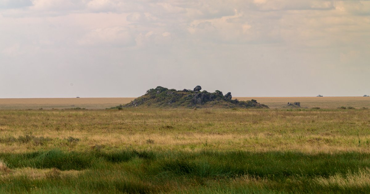Kopjes