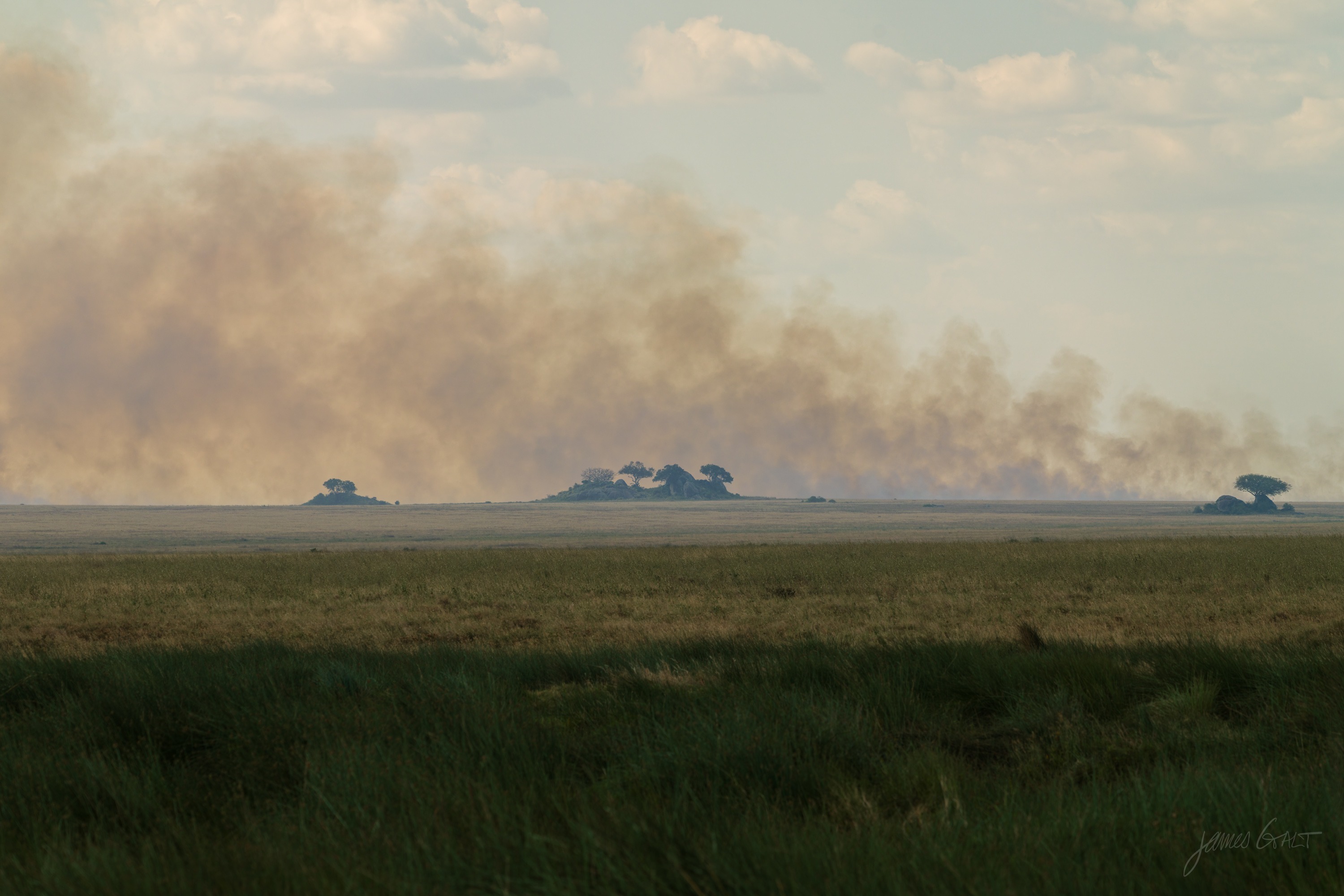A wide flat plain with a low line of grey smoke from a grass fire spreading along the horizon, small trees dotting the foreground.