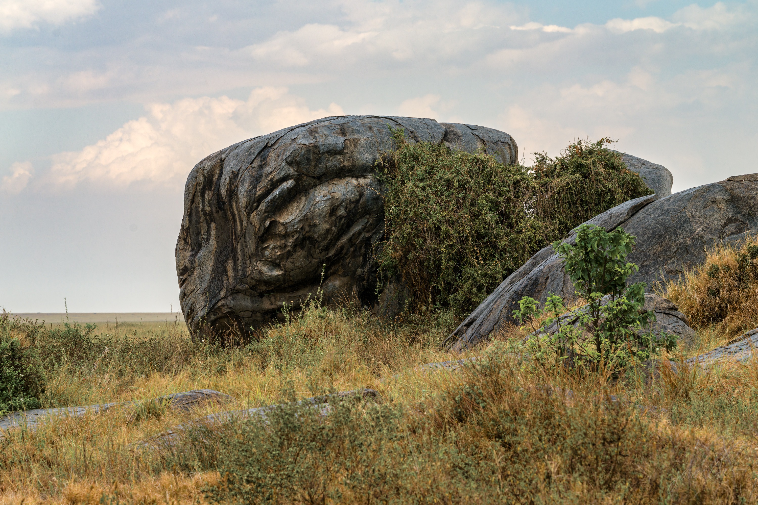Another rock outcrop on the plain, weathered grey boulders piled together, a lone tree standing beside them.