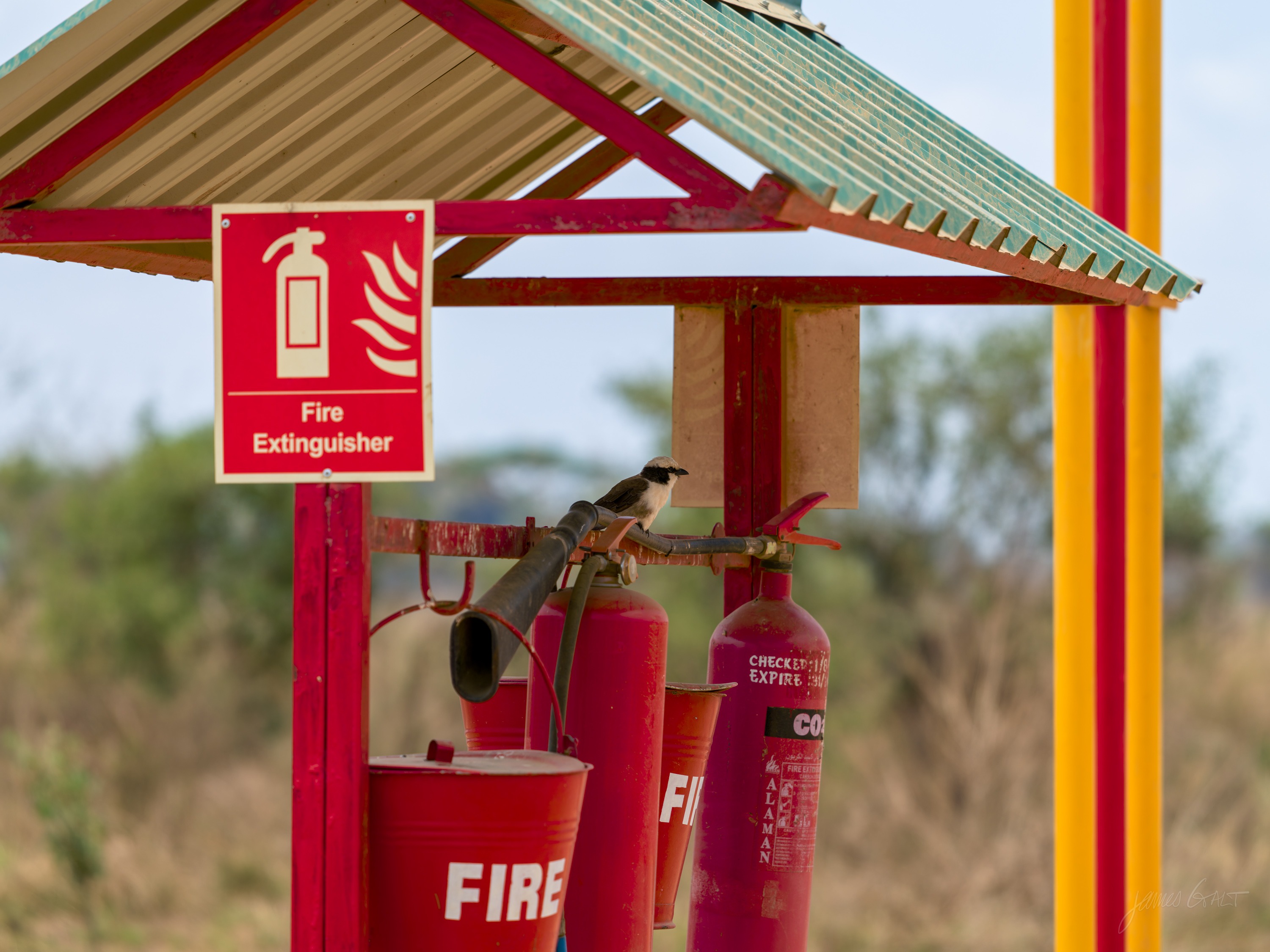 A bright red fire extinguisher station with a small pitched roof standing alone on open grassland, a warning sign on it, plains stretching away behind.