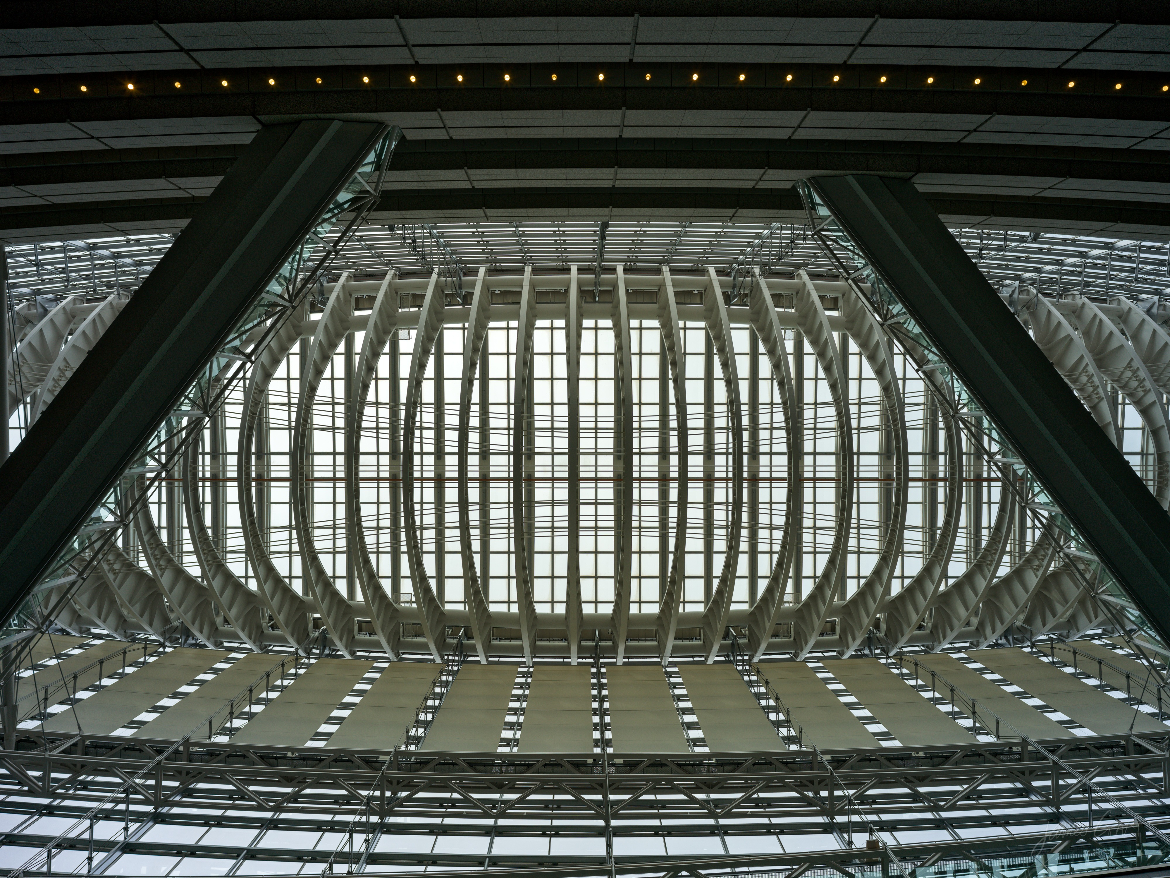Looking straight up inside the glass hall of the Tokyo International Forum at the roof structure: a long elliptical lattice of white steel ribs spanning between two large dark columns, with a pale glass canopy above.