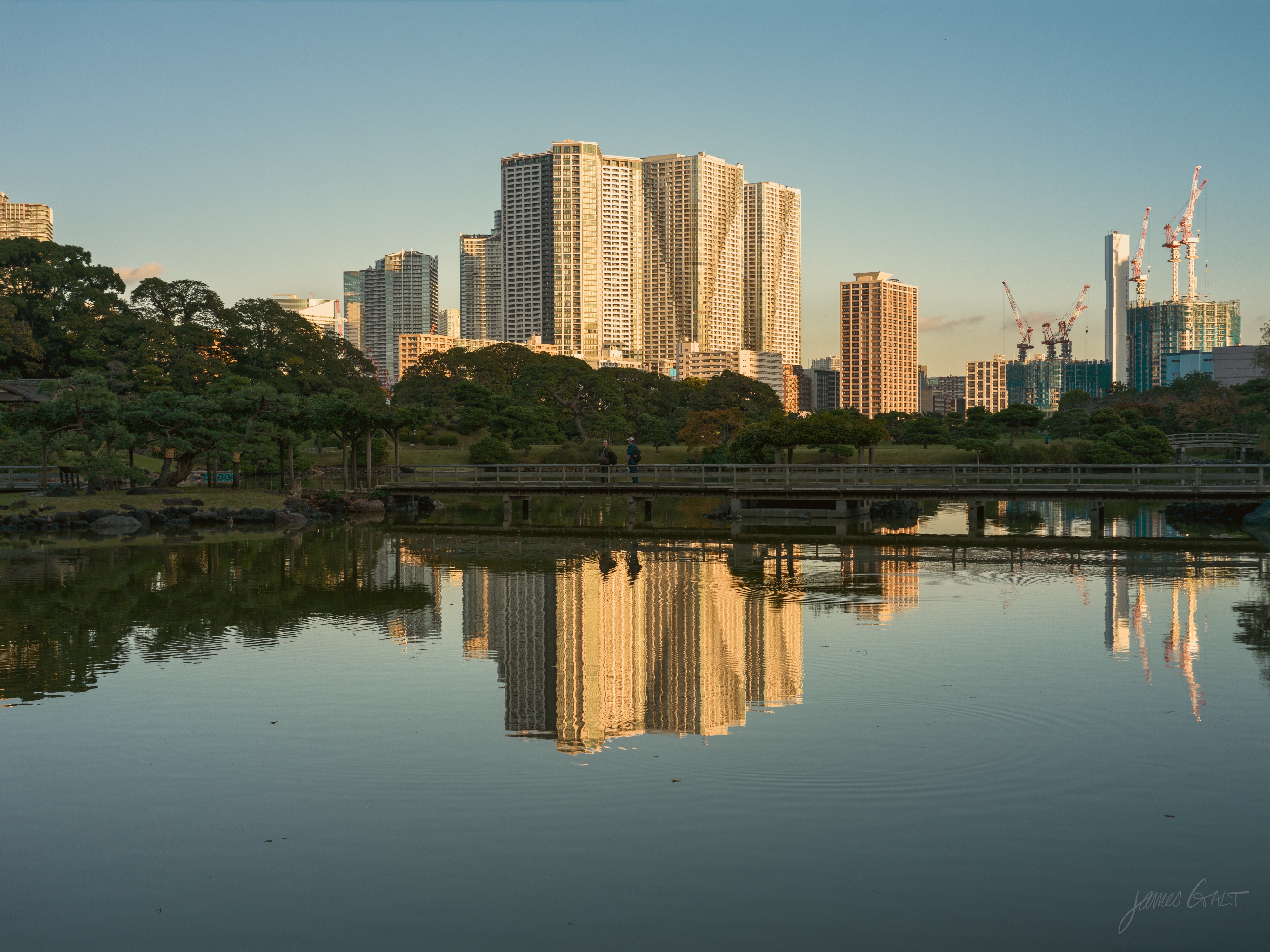 A broad garden pond in warm late light, a long low wooden bridge crossing it with a single figure standing on it. Behind the far bank, clusters of tall apartment towers and construction cranes glow gold and reflect in rippling lines down the water.