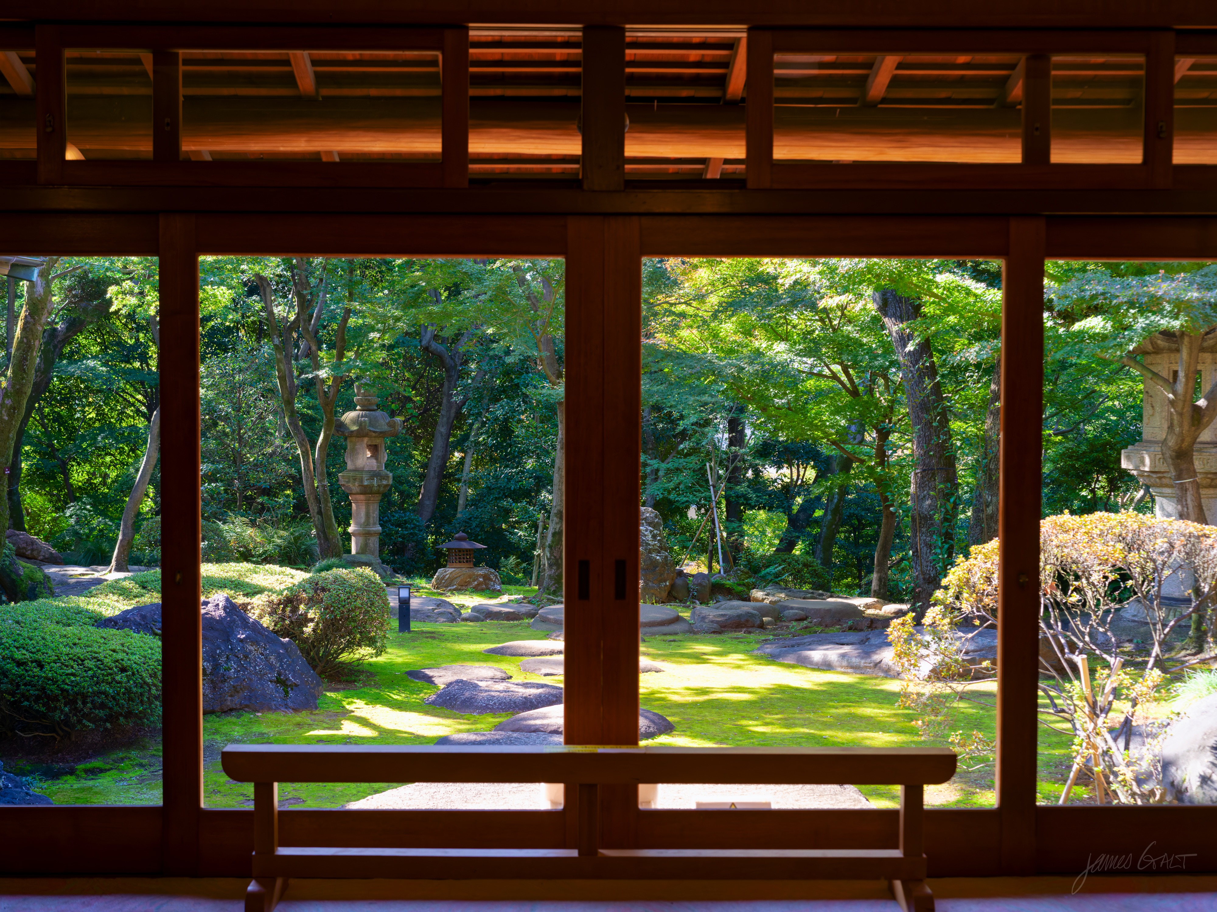 The view from inside a traditional tatami room, out through open wood-framed sliding doors onto a sunlit moss garden where a stone lantern stands among maples and clipped shrubs. A low wooden bench sits just outside, the dark interior framing the bright greenery.