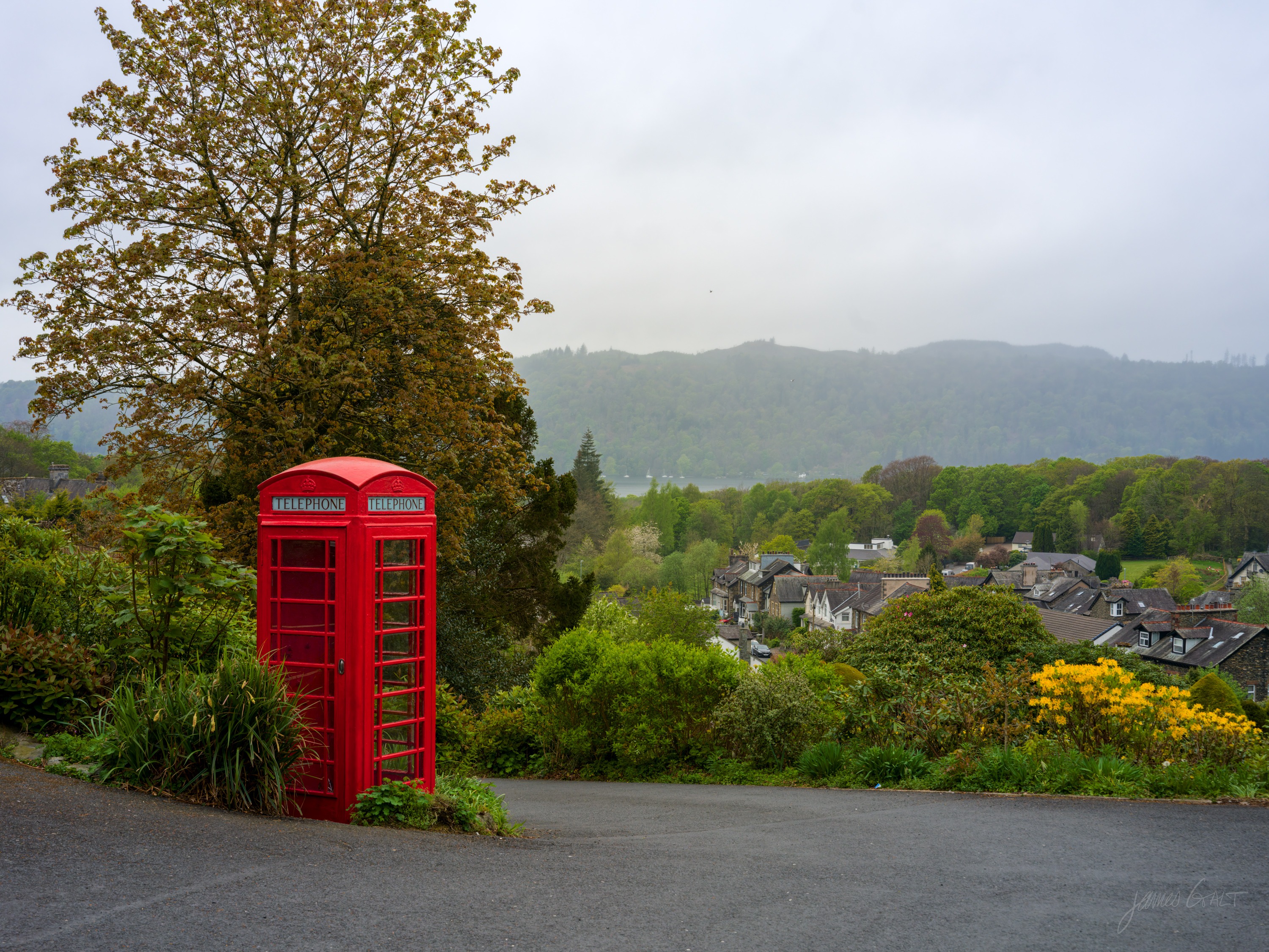 A red telephone box beside a tree on a hilltop, looking down over the grey rooftops of Bowness village toward wooded fells under a soft overcast sky.